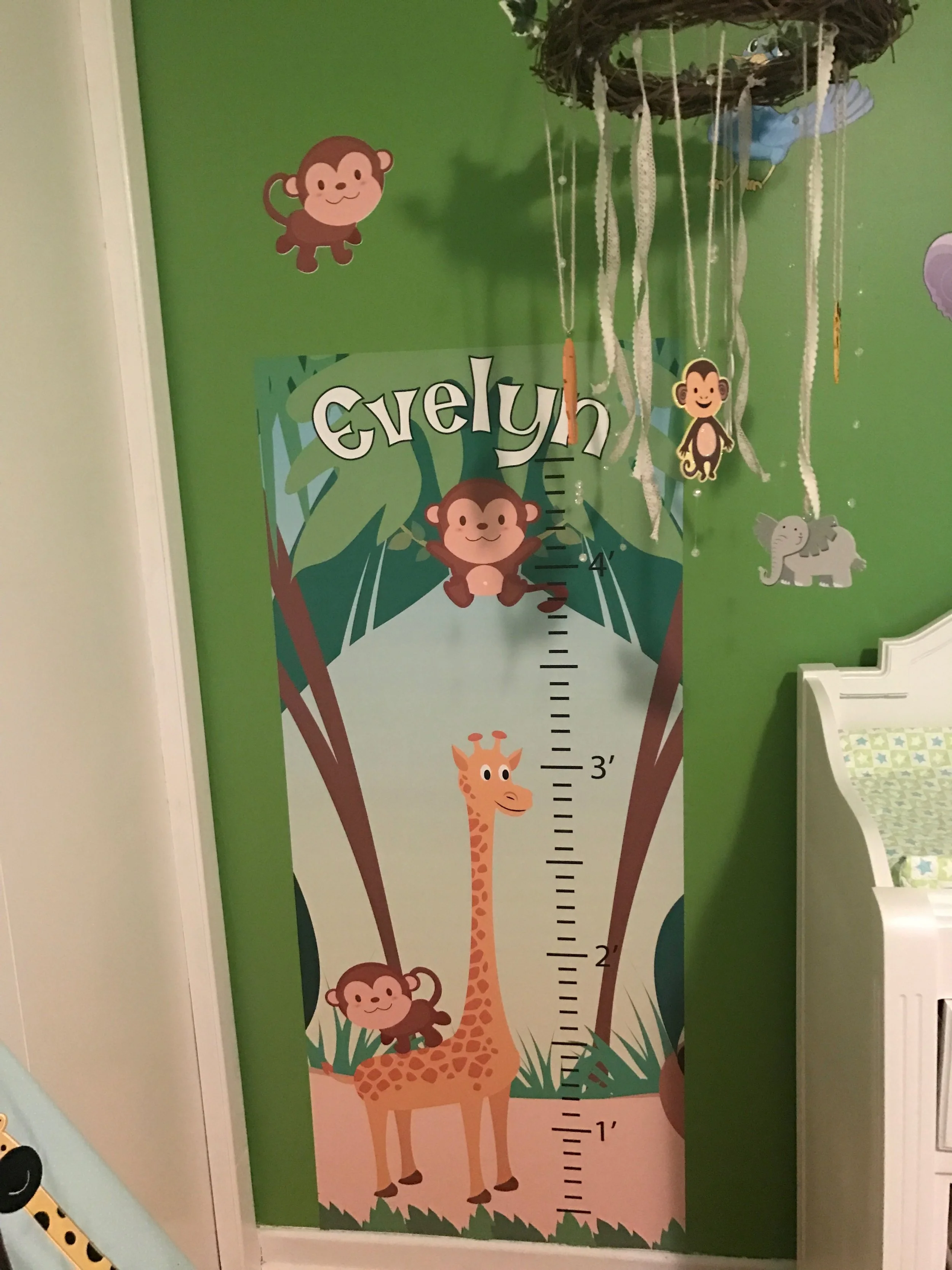 Evelyn Growth Chart.jpg