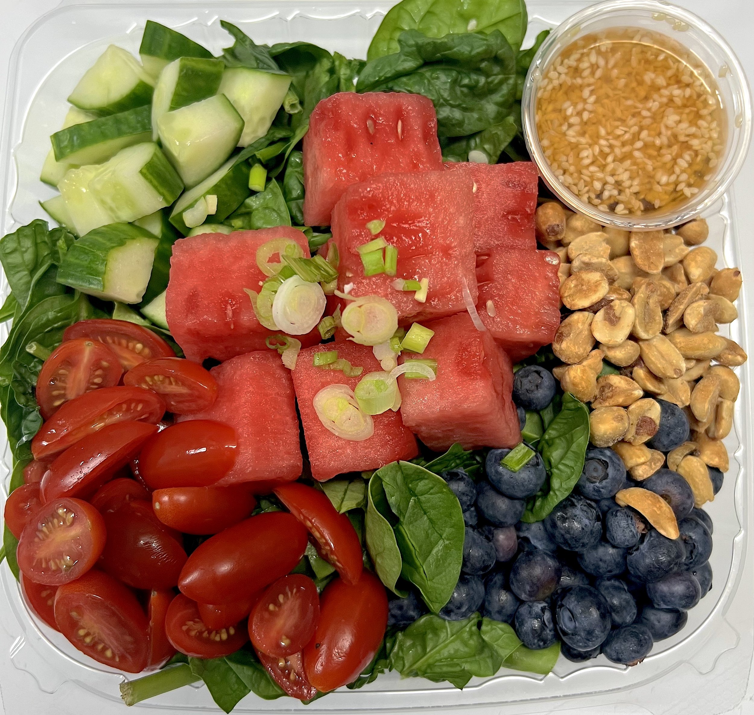 WATERMELON SALAD.jpg