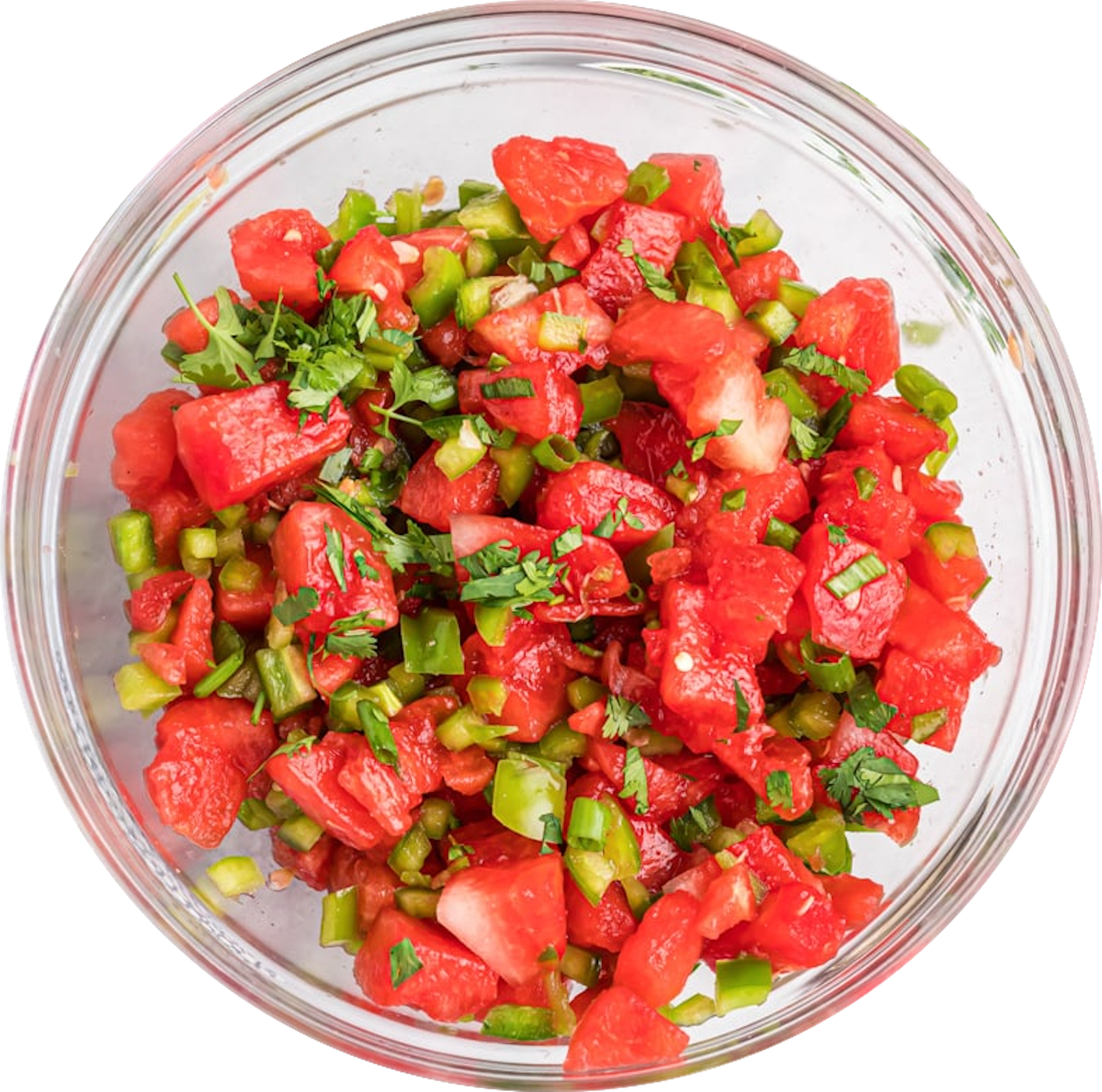 watermelon-salsa-resize-5.png