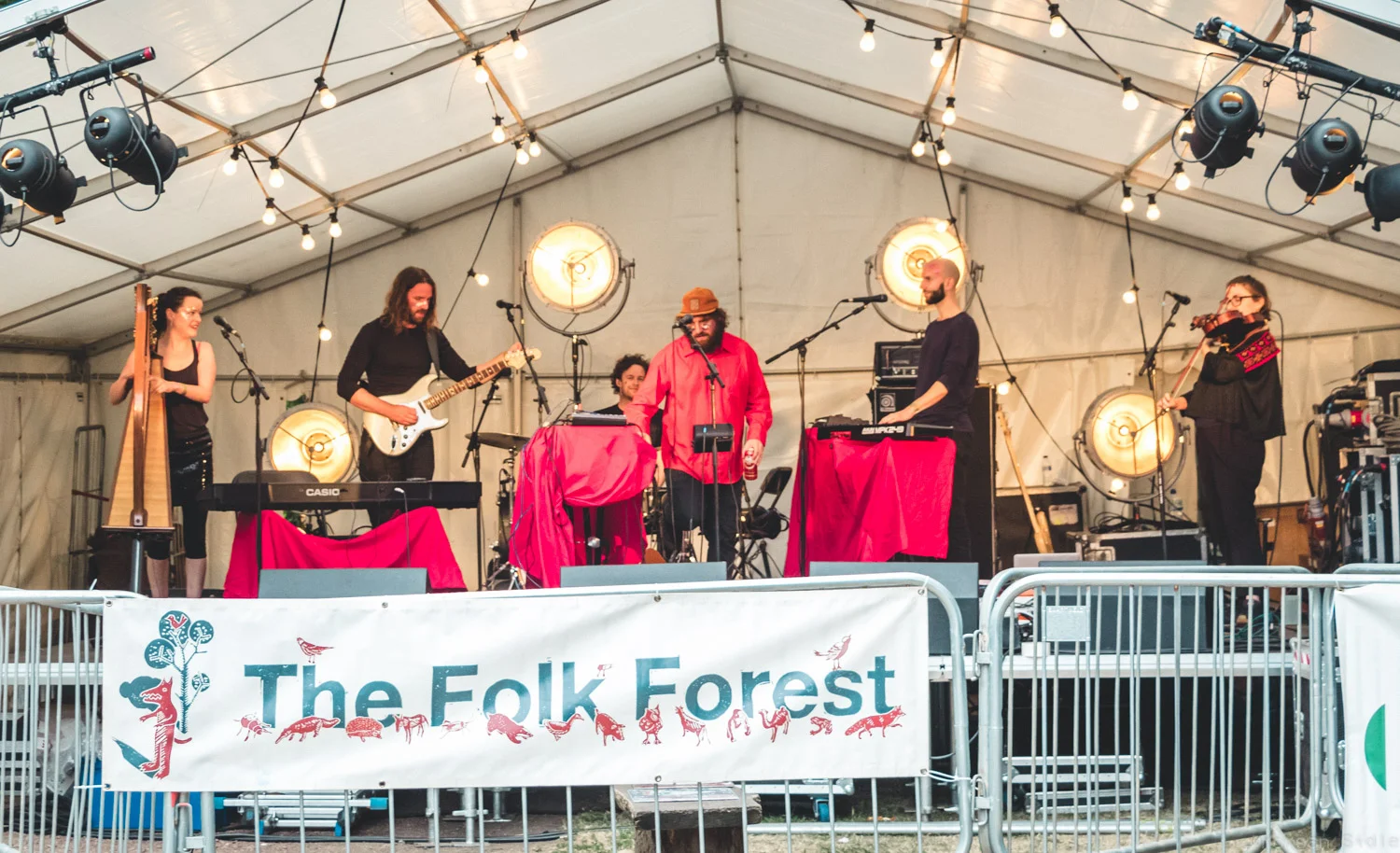 Picterish Trail at Tramlines/Folk Forest // 21-07-18
