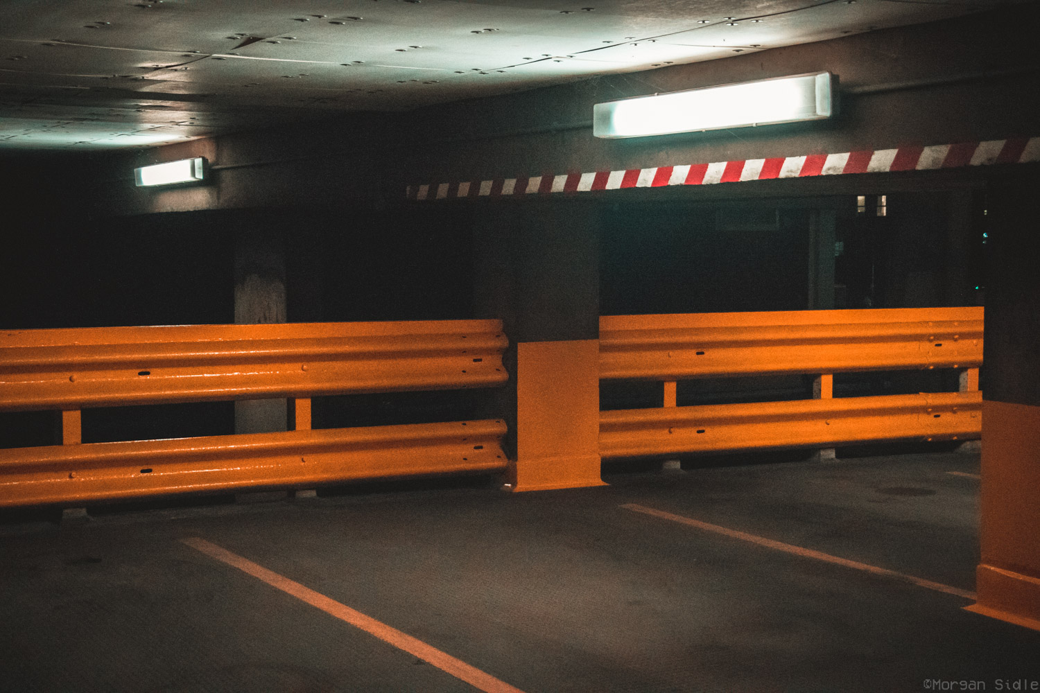 _17A9750.jpg