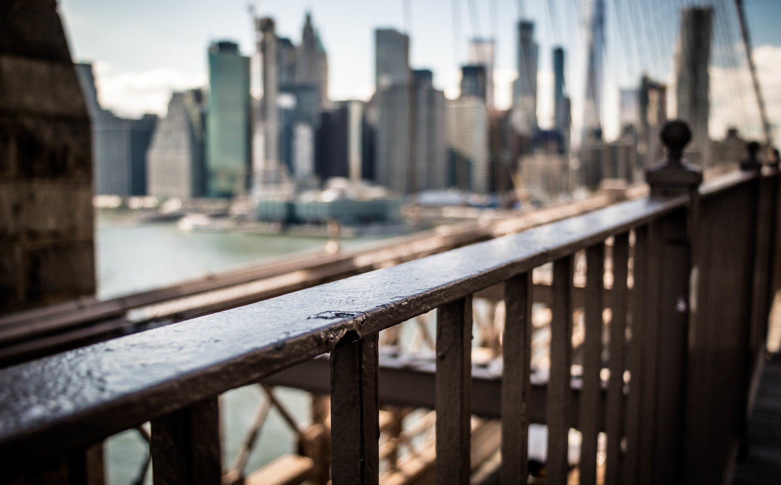 _17A7951.jpg