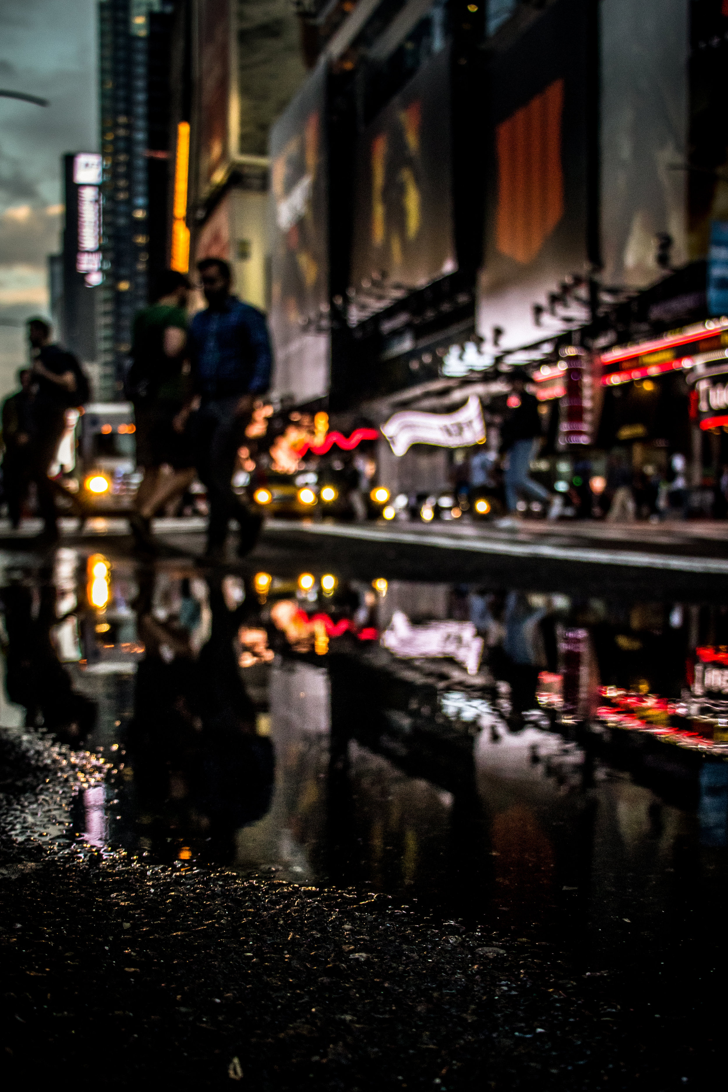 _17A8434.jpg