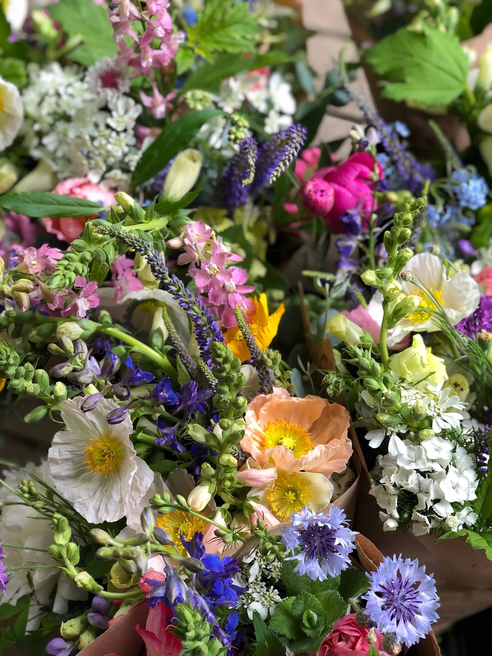 C87391E6-63F0-4ADF-961A-C3307F7F67B9