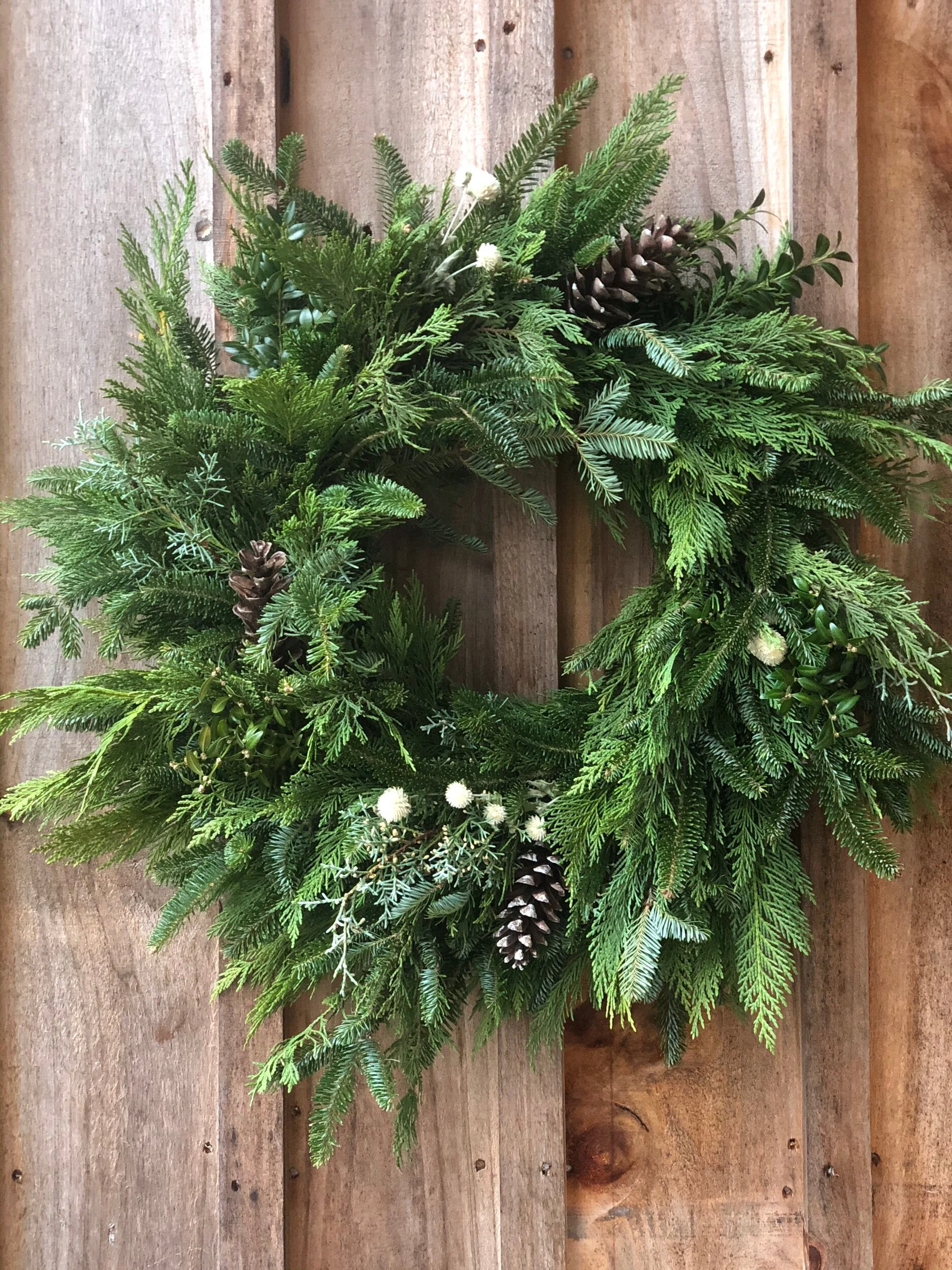 CCA5CF88-1DDA-41C8-BA2E-5EFDDF1404F1