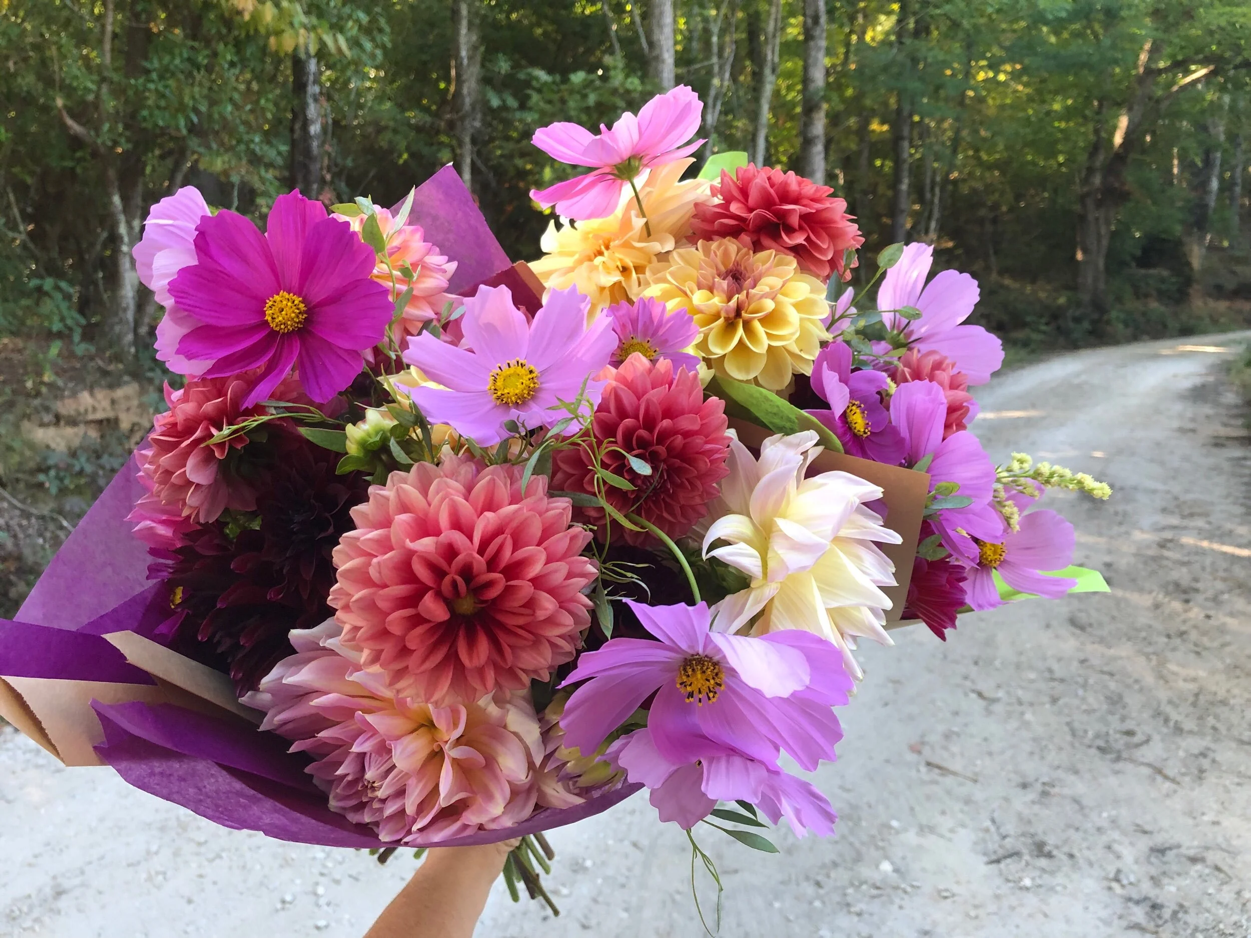 C78186F8-762C-4166-934A-F878F8EBDD20