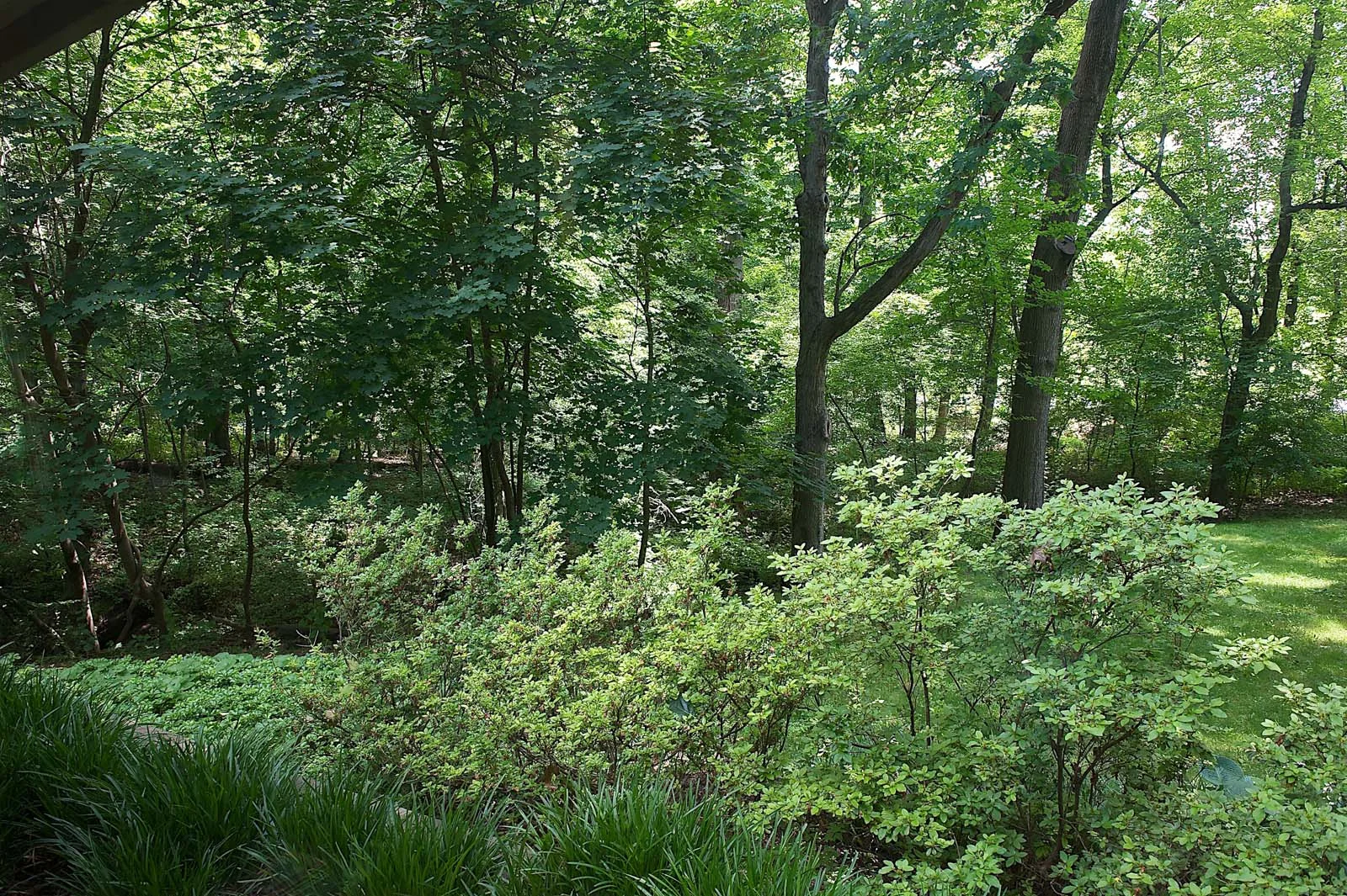 _D3S1279 - Version 2.jpg