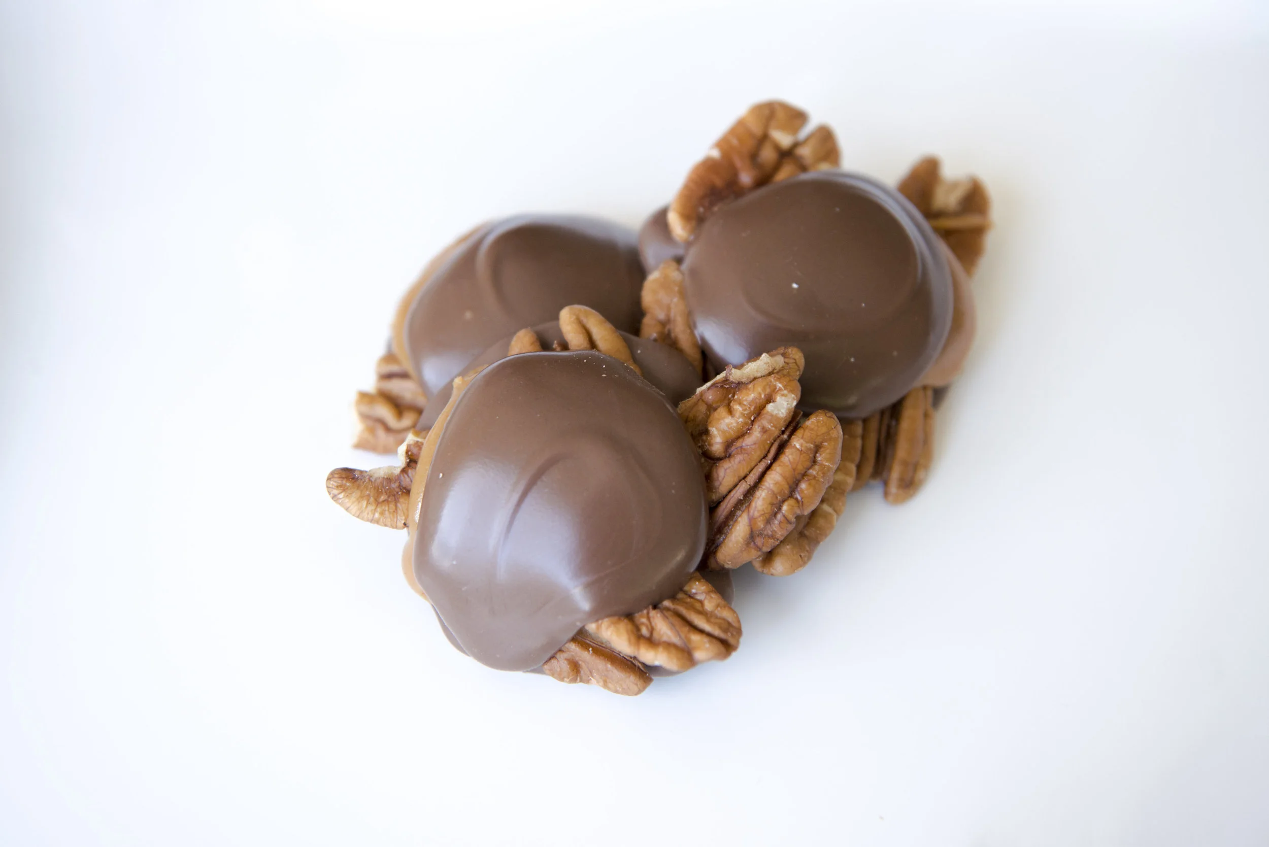 milk almond turtle.jpg