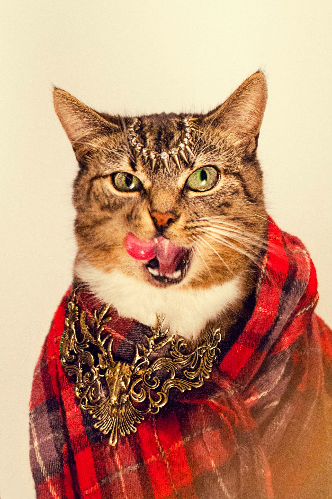 Vivienne Westwood Cat