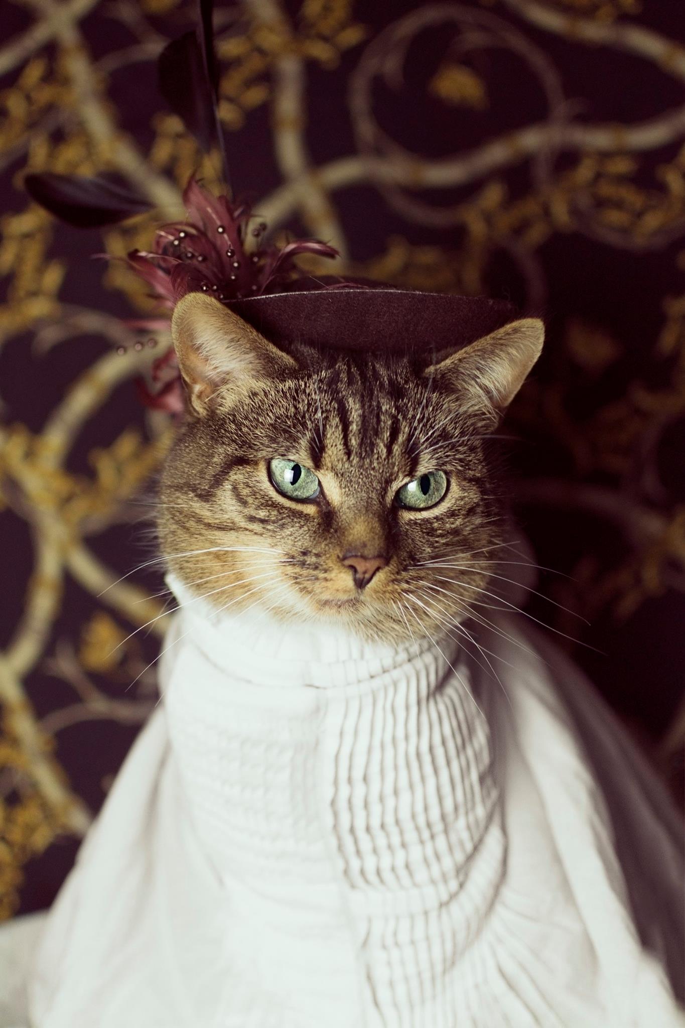 Madame Hummus