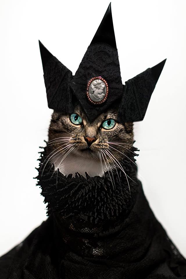 Viktor & Rolf Cat