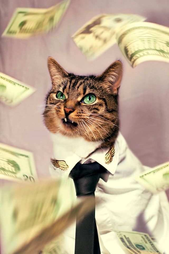 The Cat of Wall Street