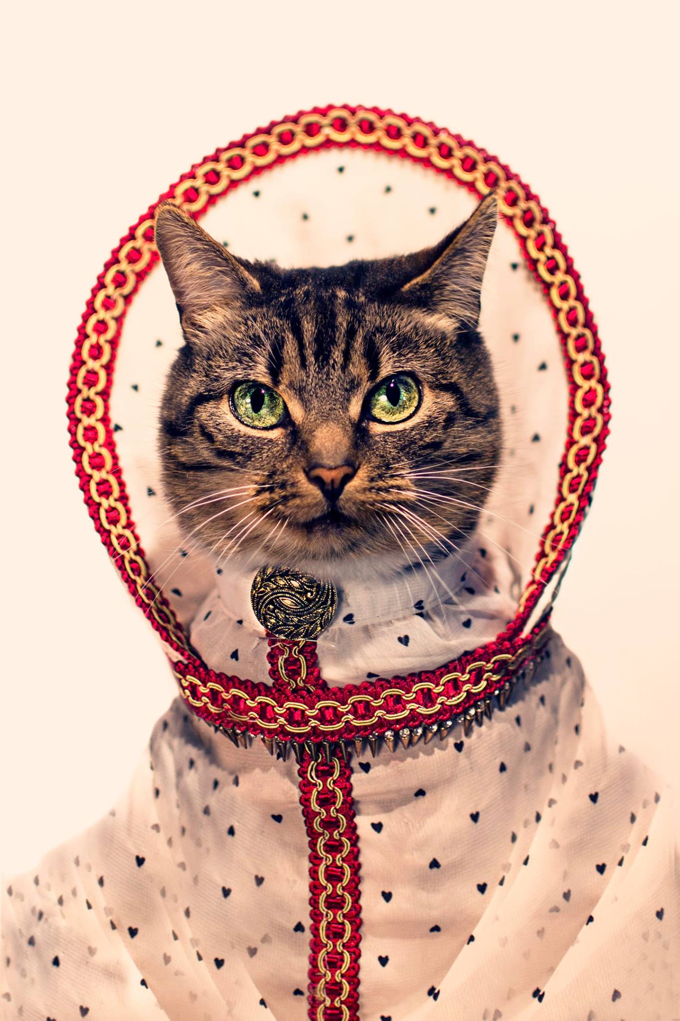 Victorian Catoure