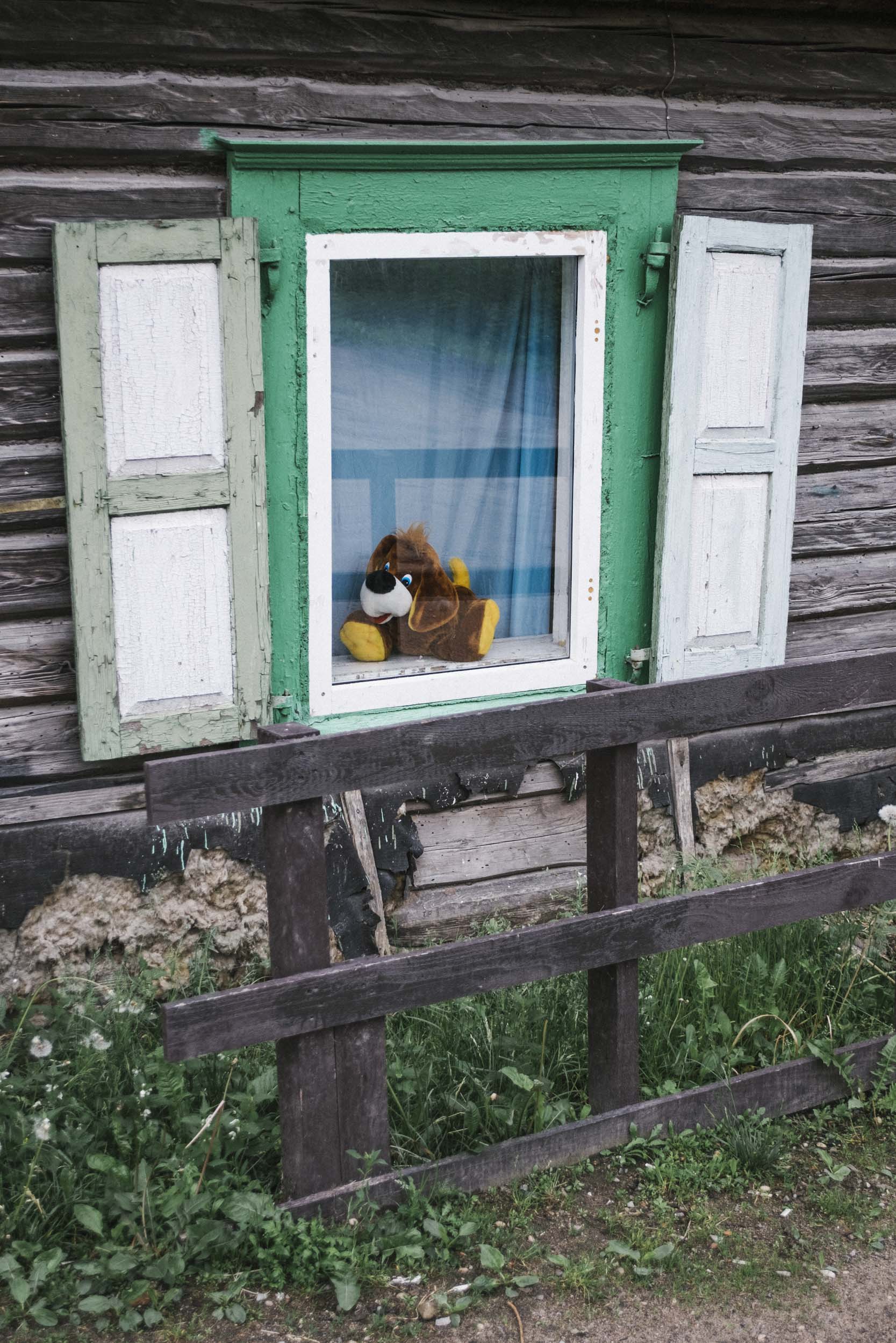 Plush dog toy awaits