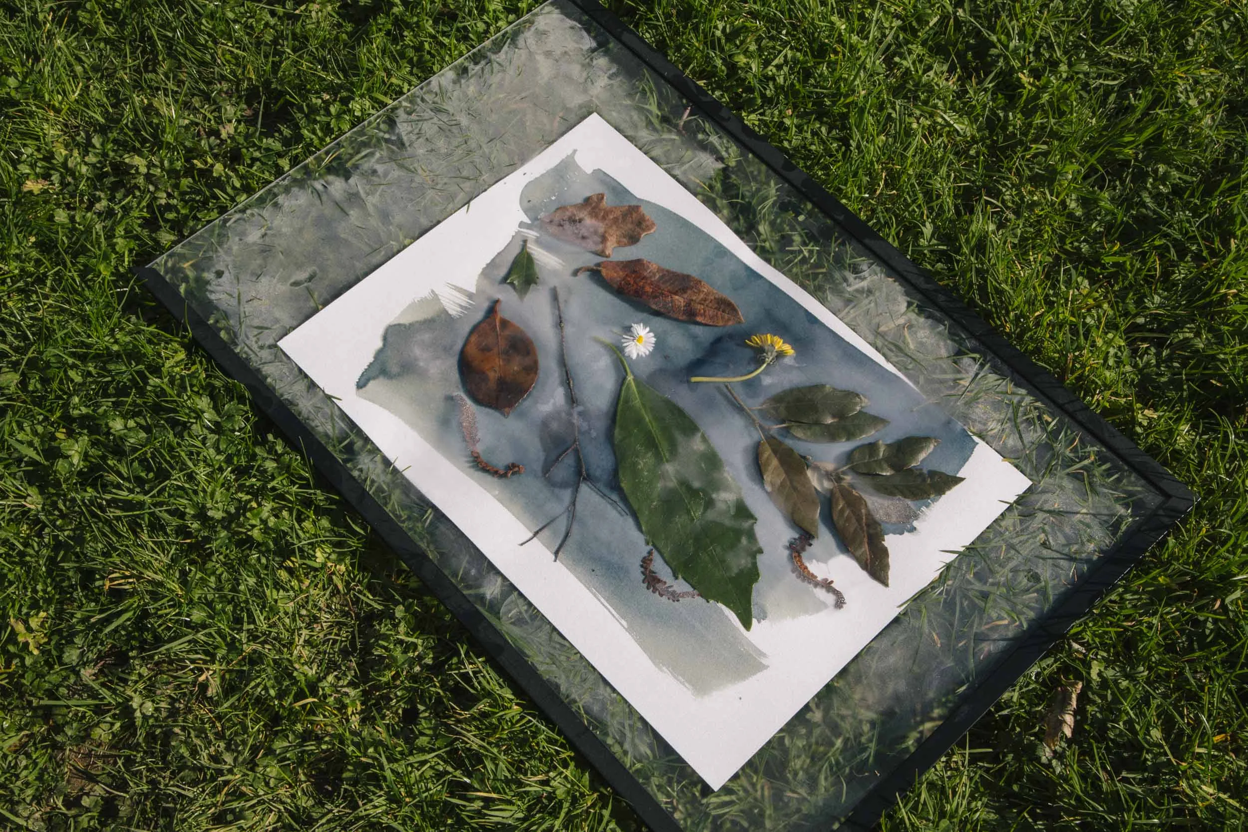 Cyanotype_Workshop_MA_Ignas_Vincerzevskis