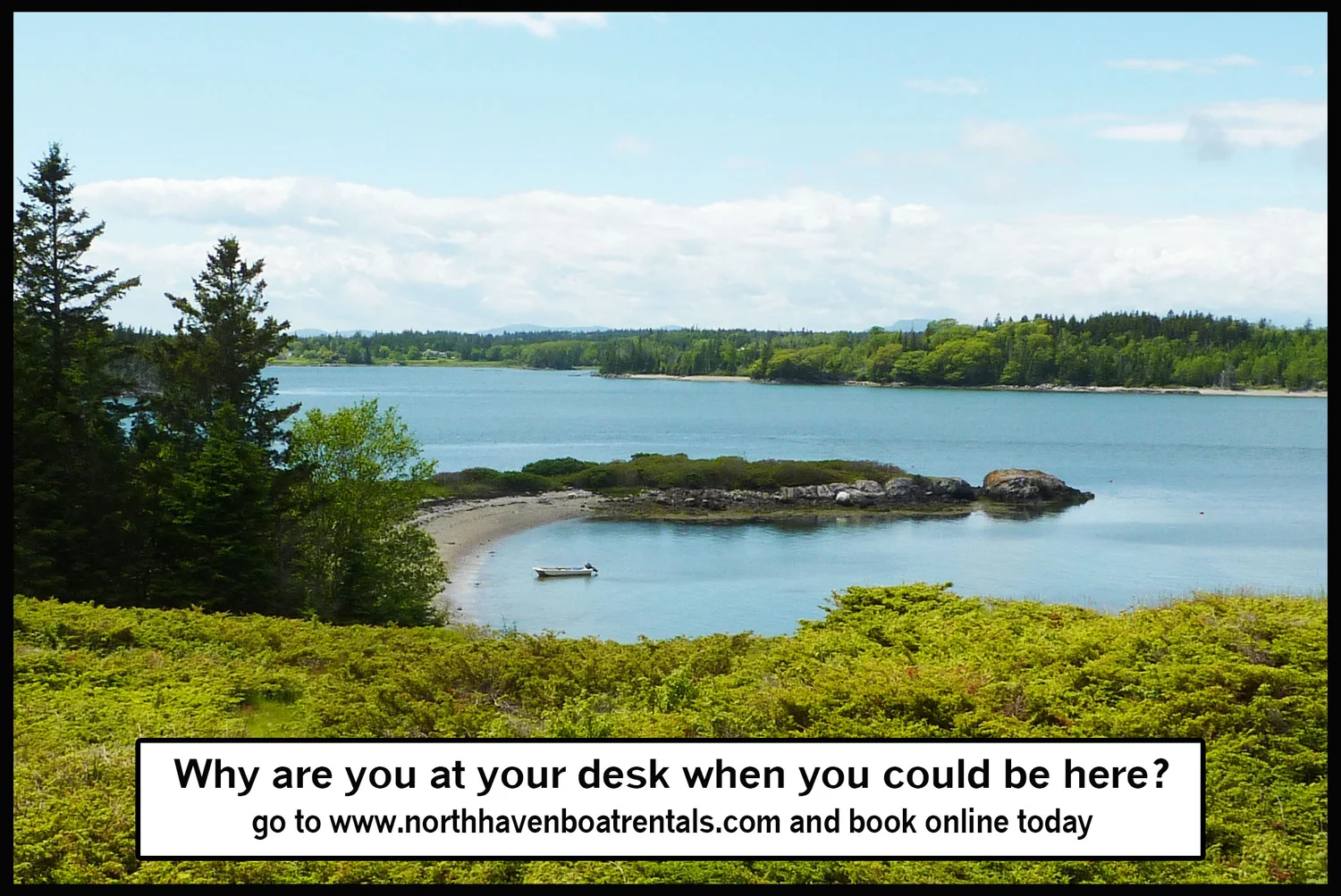 NORTH HAVEN RENTALS Boats & Bikes for rent. Check availability & book