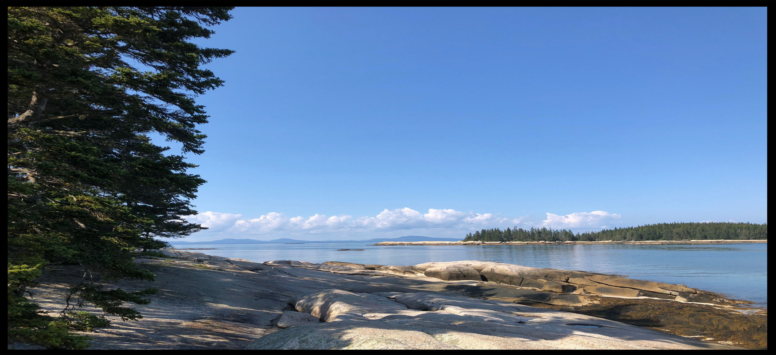 pspicnic1.1.jpg