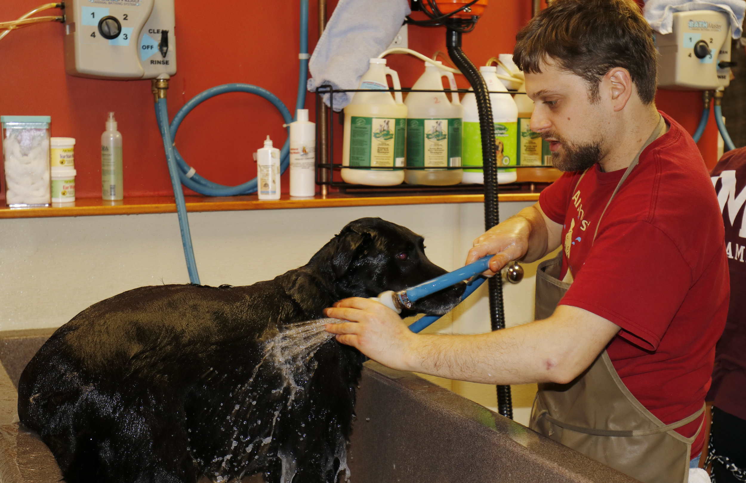   AMHERST DOG WASH AND GROOMING  