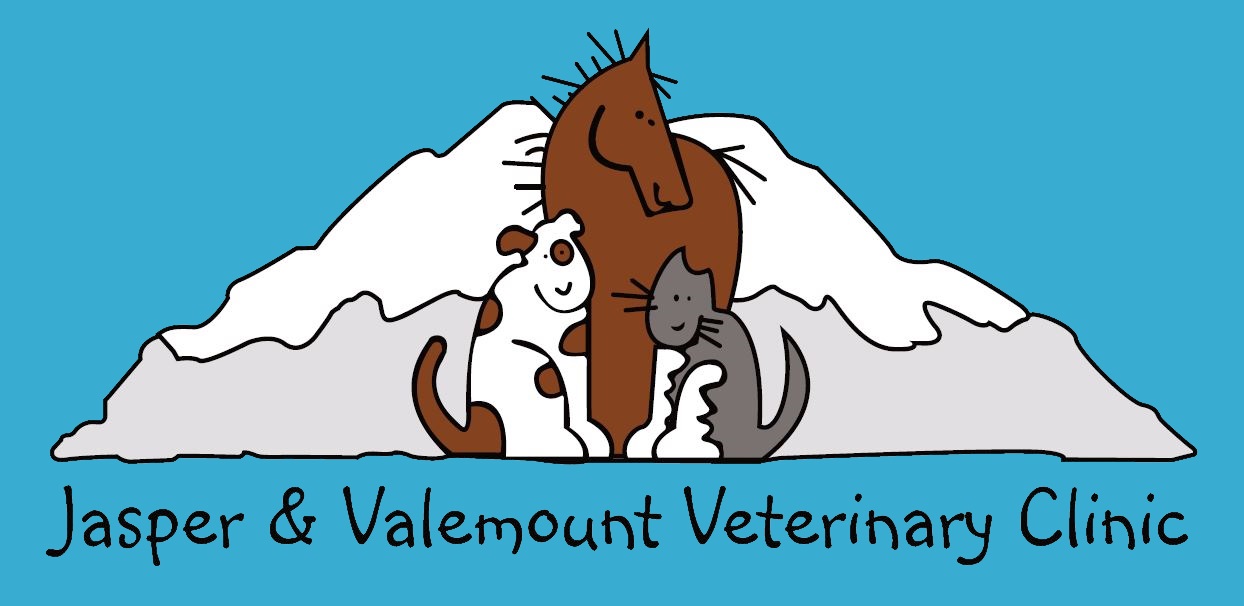 Jasper & Valemount Veterinary Clinic
