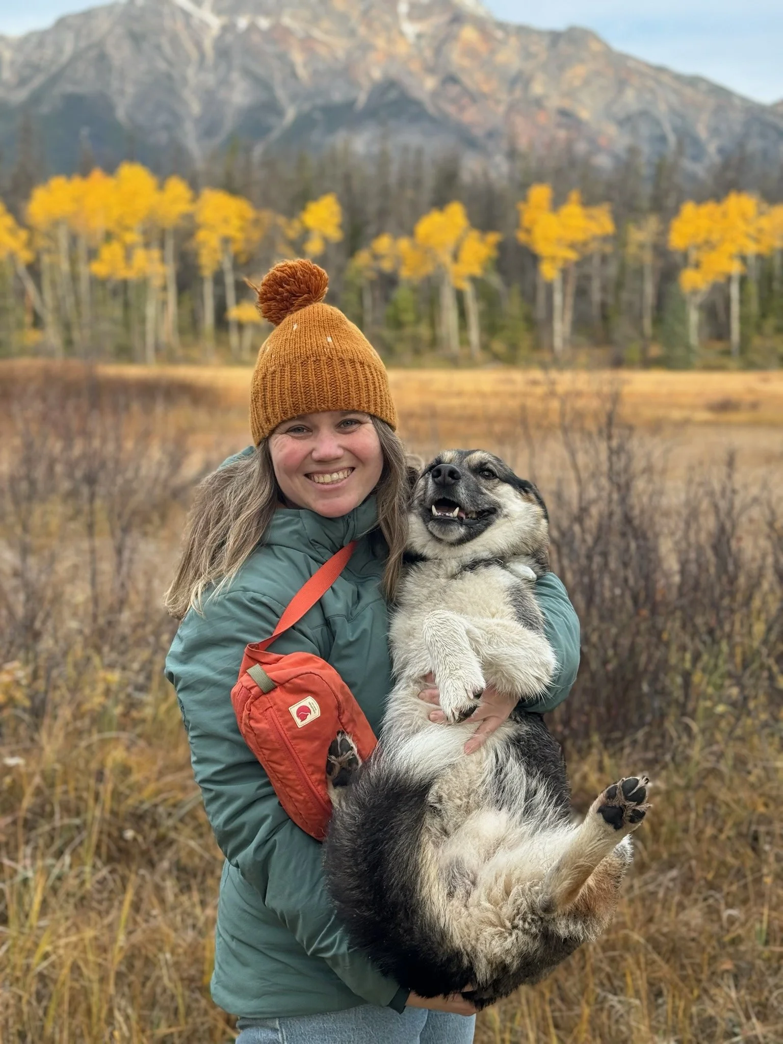 Doctor Sara Regher holding her husky mix tripad Isaac. With a fall time background and Pyramid Mountain in the distance.