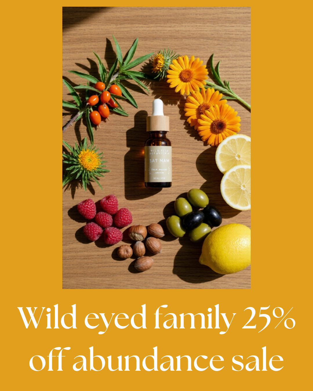 Wild eyed family 25% off abundance sale.png