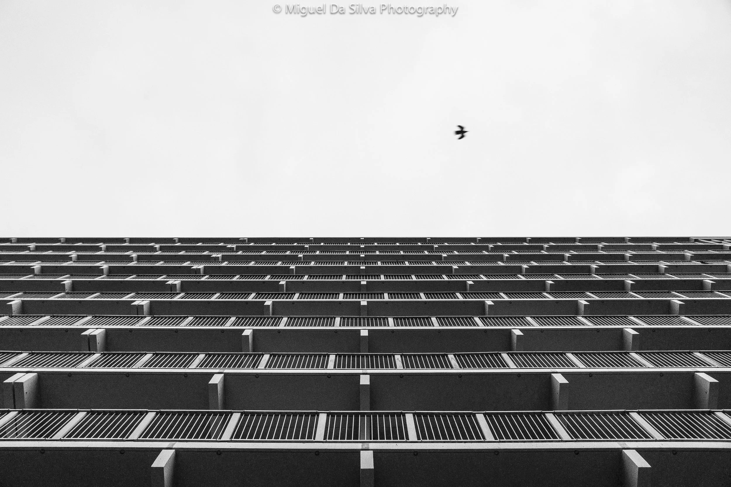 Where can we find the freedom.in middle of this chaos? - Bijlmer Area - NETHERLANDS