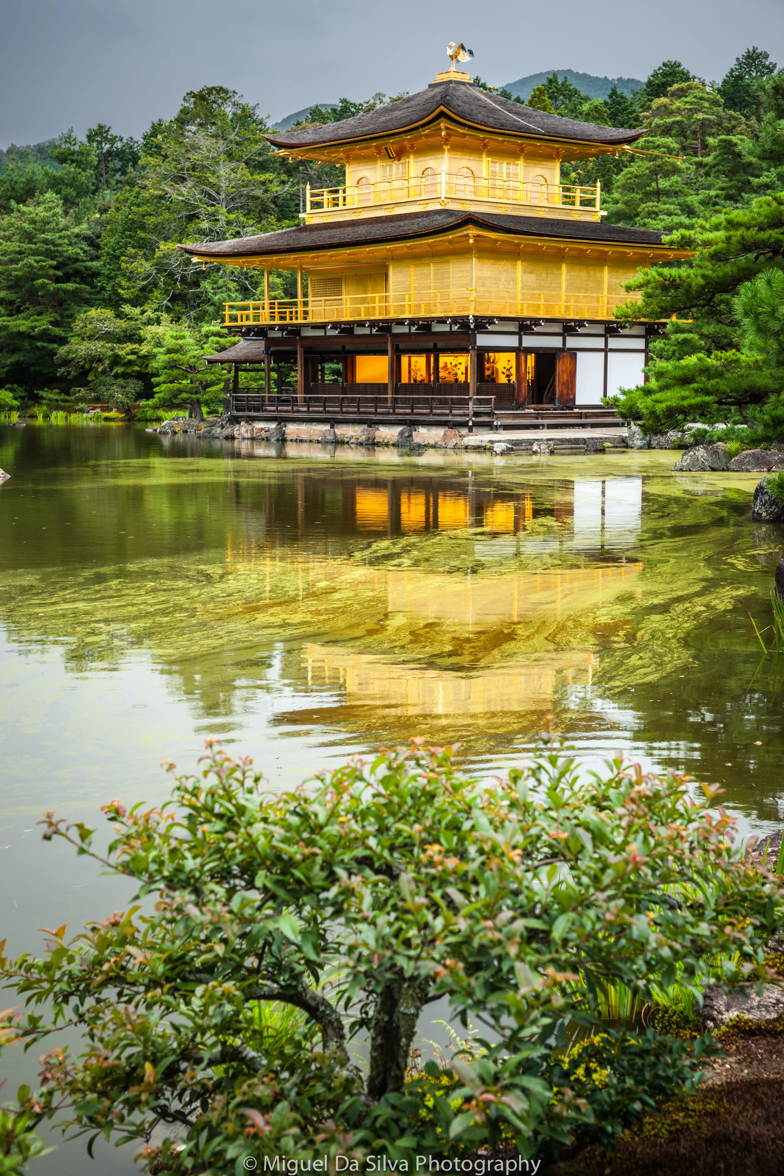 Kinkaku-ji Temple, Kyoto