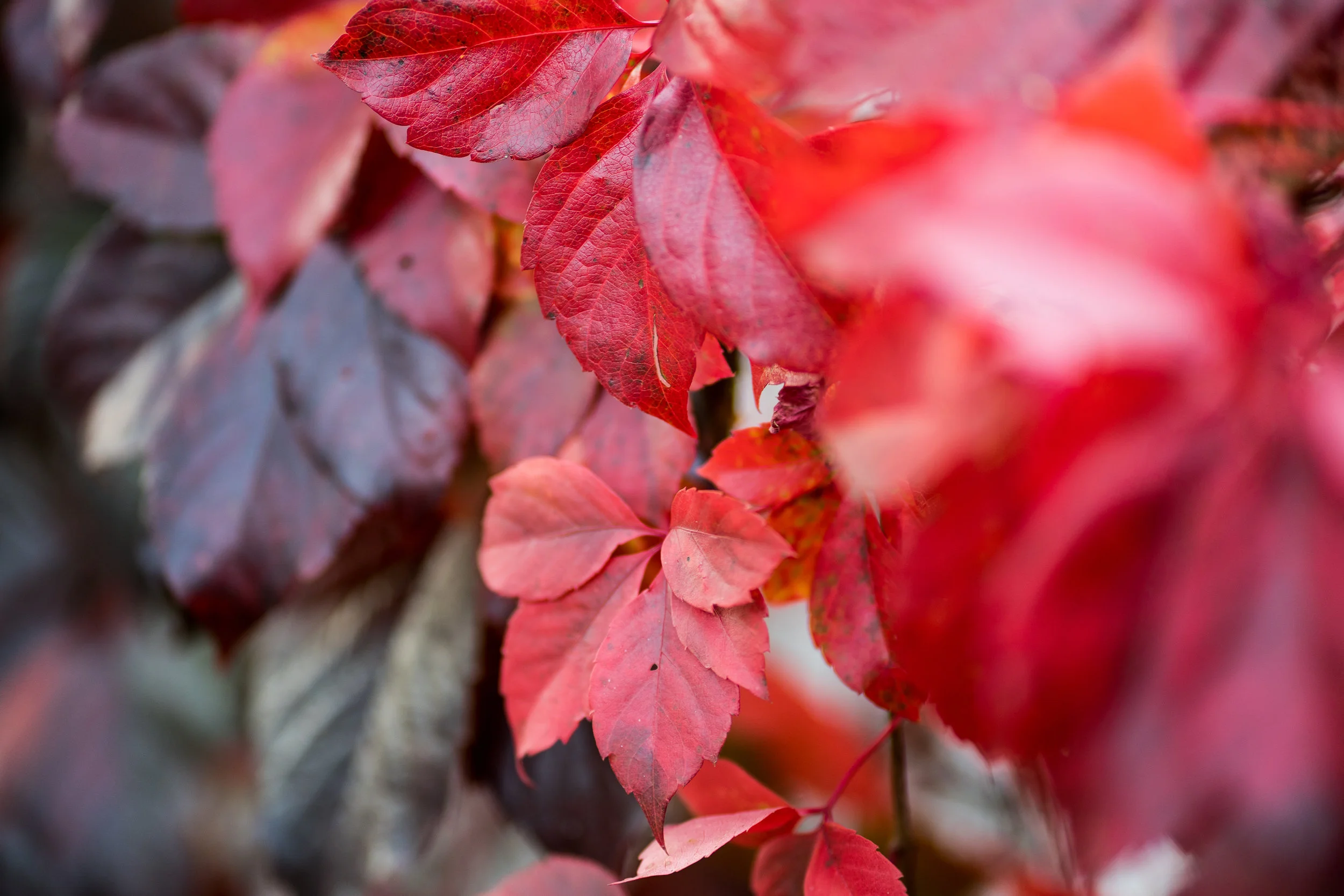 Autumn is here