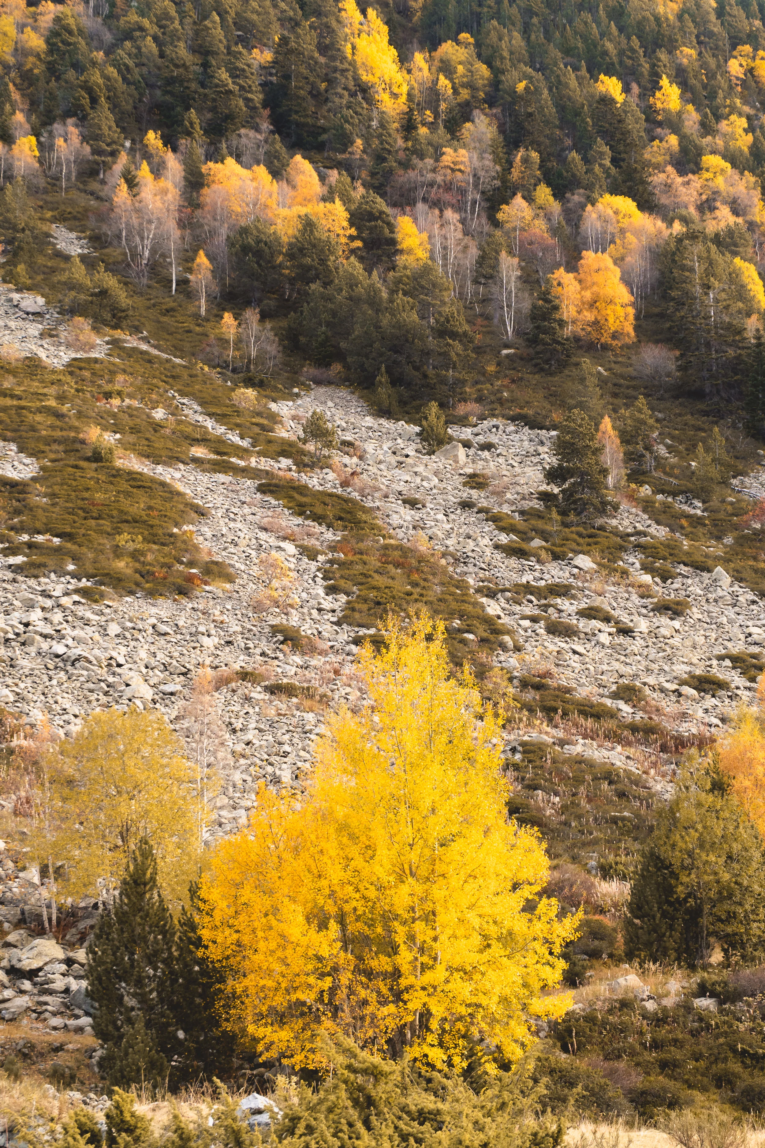 Autumn in Vall d'Incles - Canillo, ANDORRA