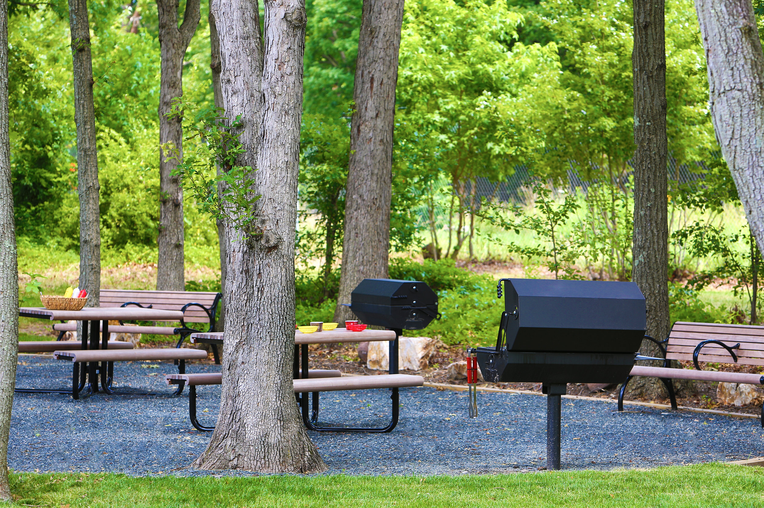 Picnic and grill area at Glen Oaks apartments