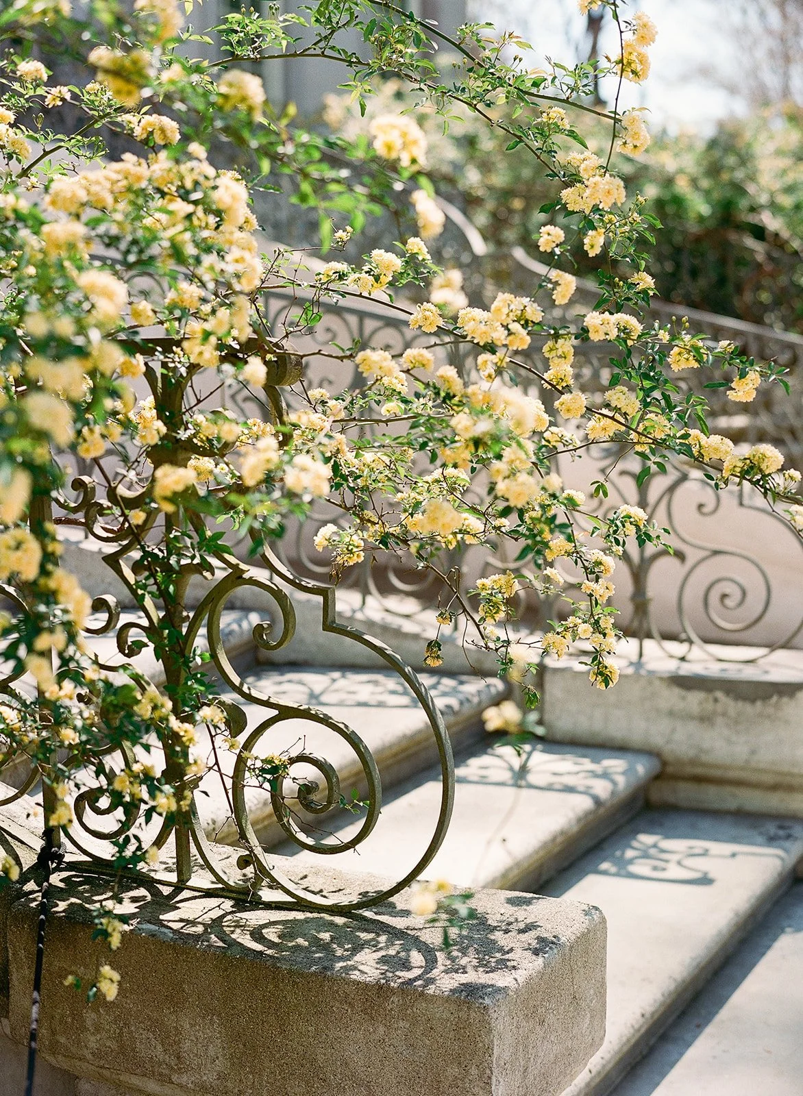 Boatwright-01-Details-2.jpg