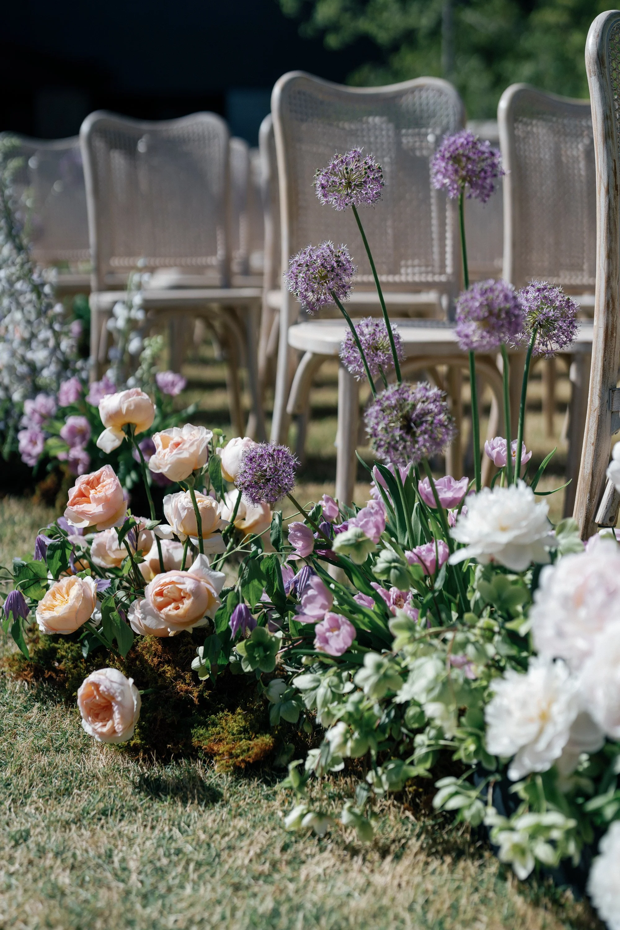 0363CWILLETTPHOTO_ABBEYGRIFFIN_20240413.jpg
