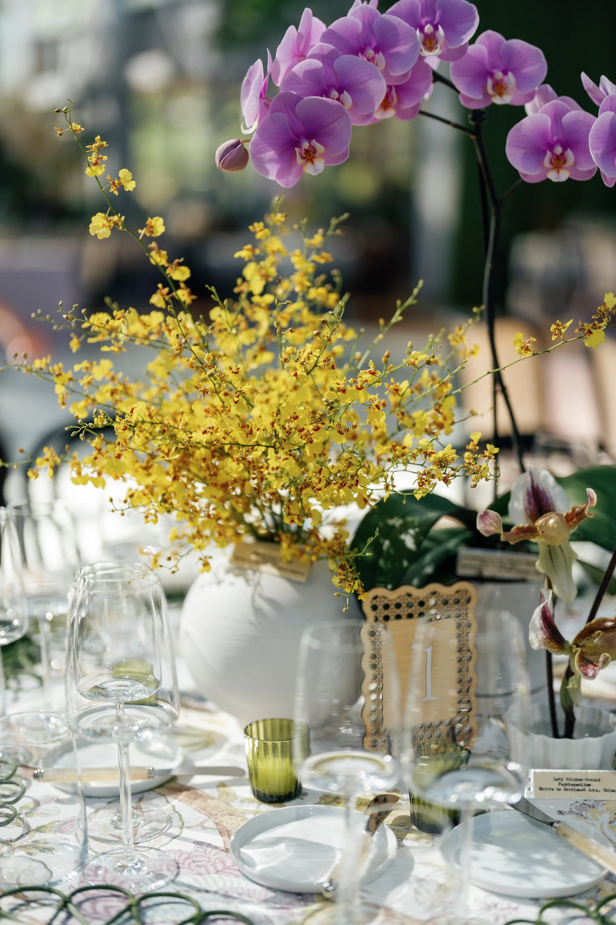 0423CWILLETTPHOTO_ABBEYGRIFFIN_20240413.jpg