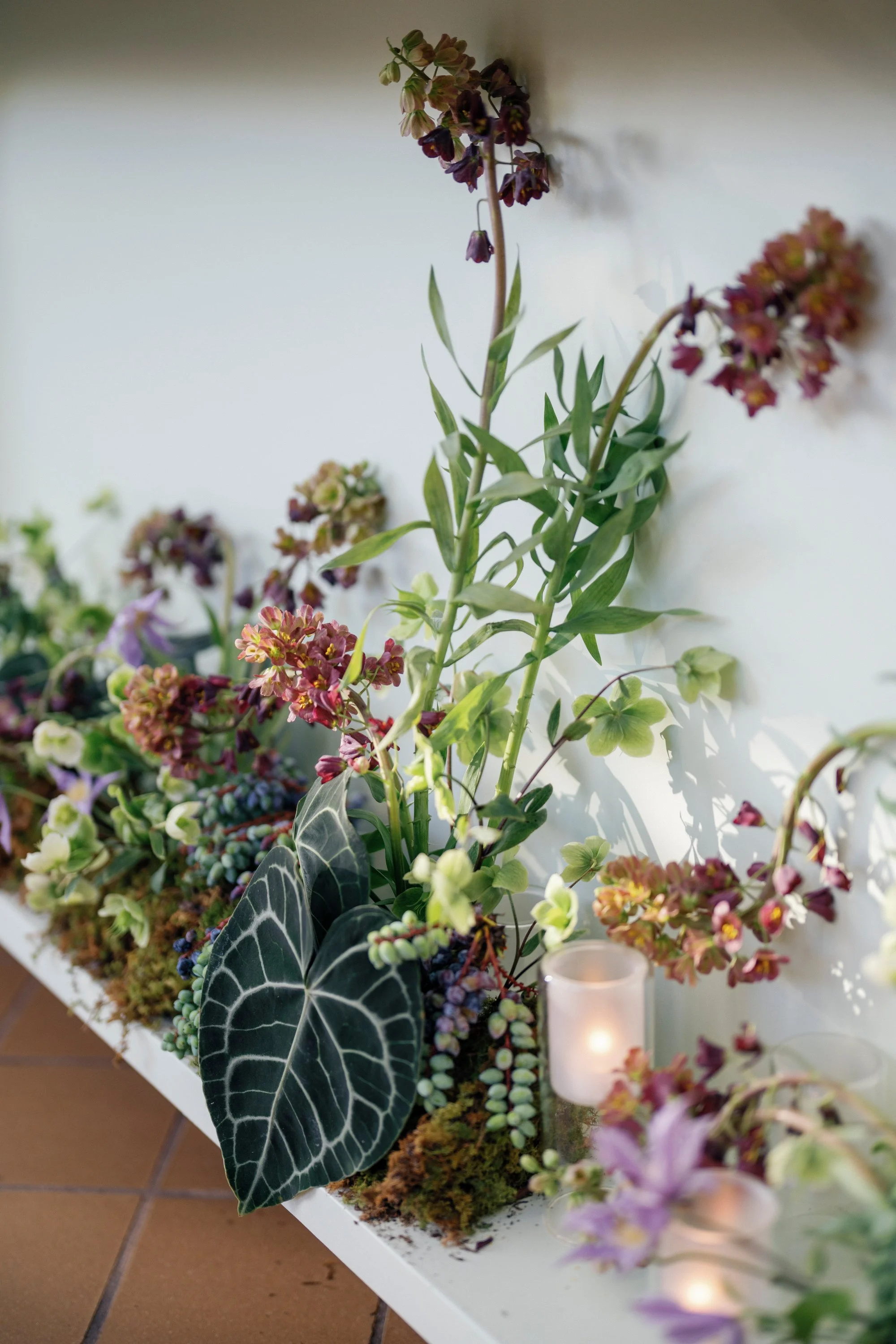 1039CWILLETTPHOTO_ABBEYGRIFFIN_20240413.jpg