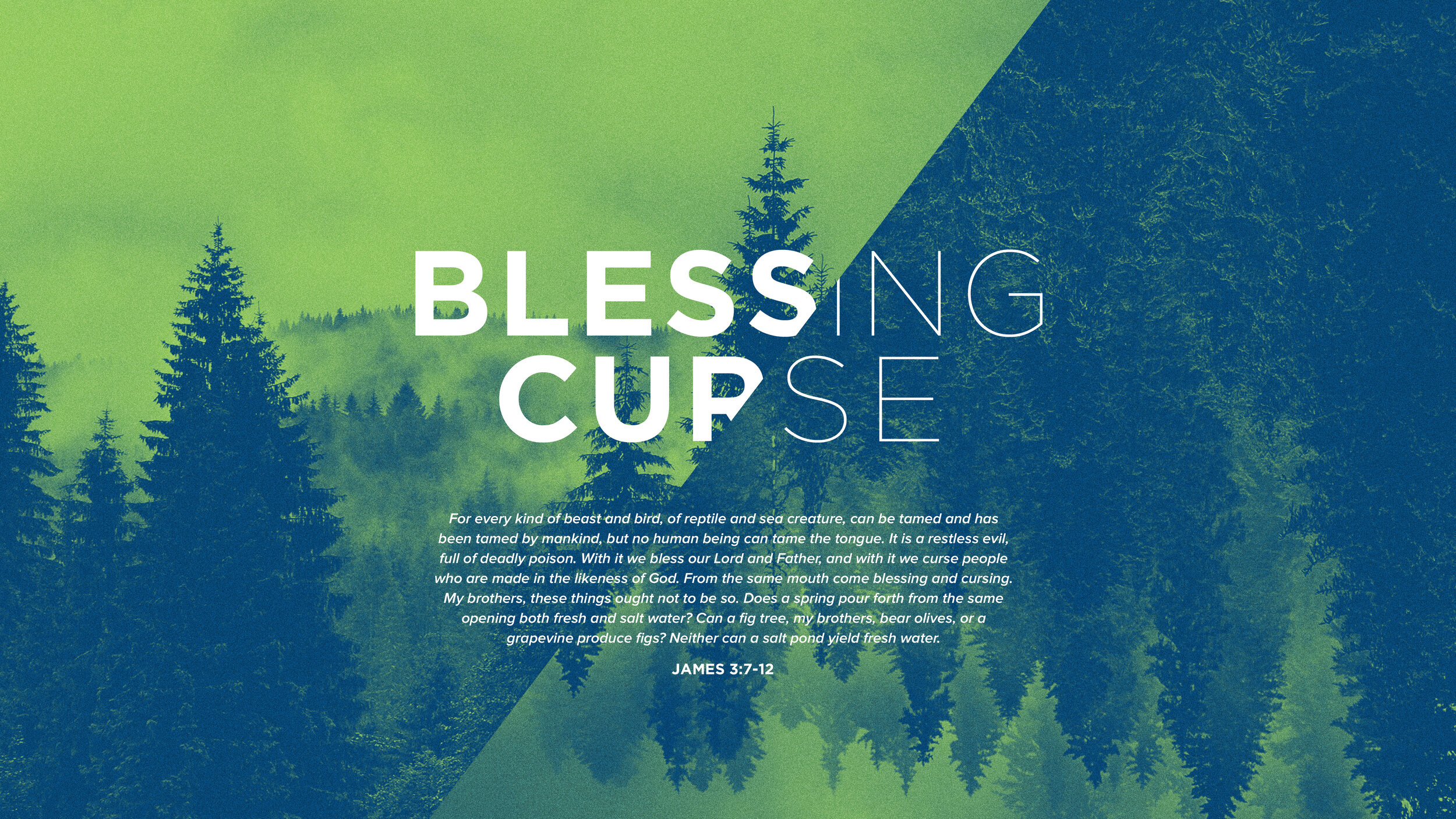 tvc-blessingcurse-wallpaper-.jpg