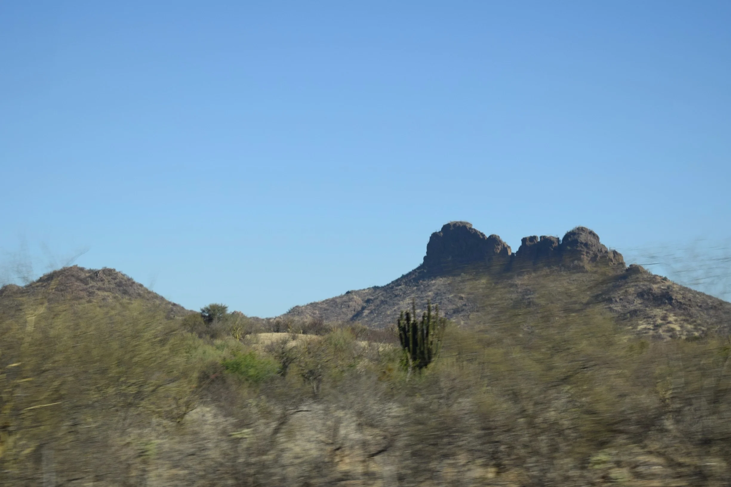 DSC_0276.jpg