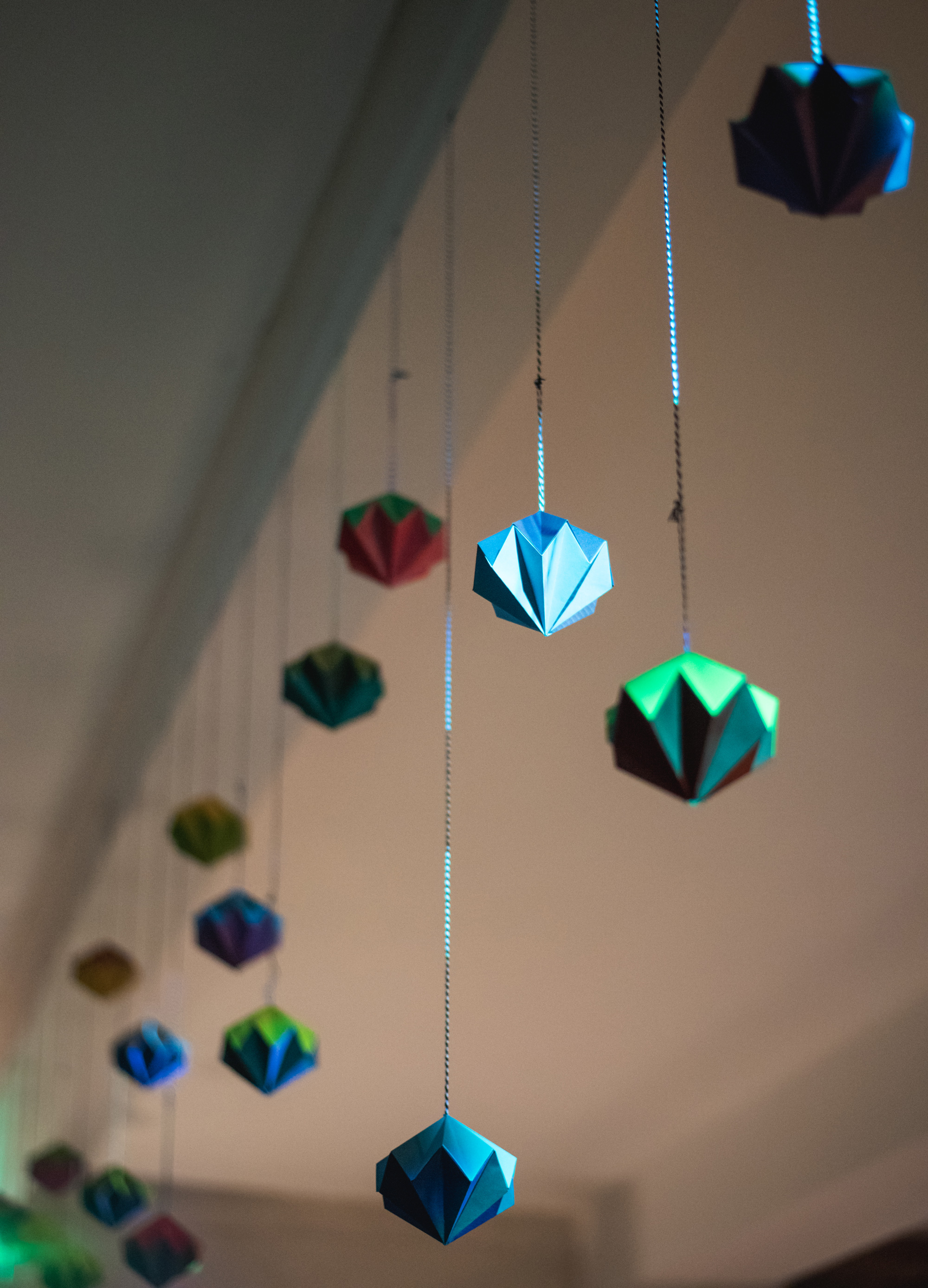 Living Advent Calendar