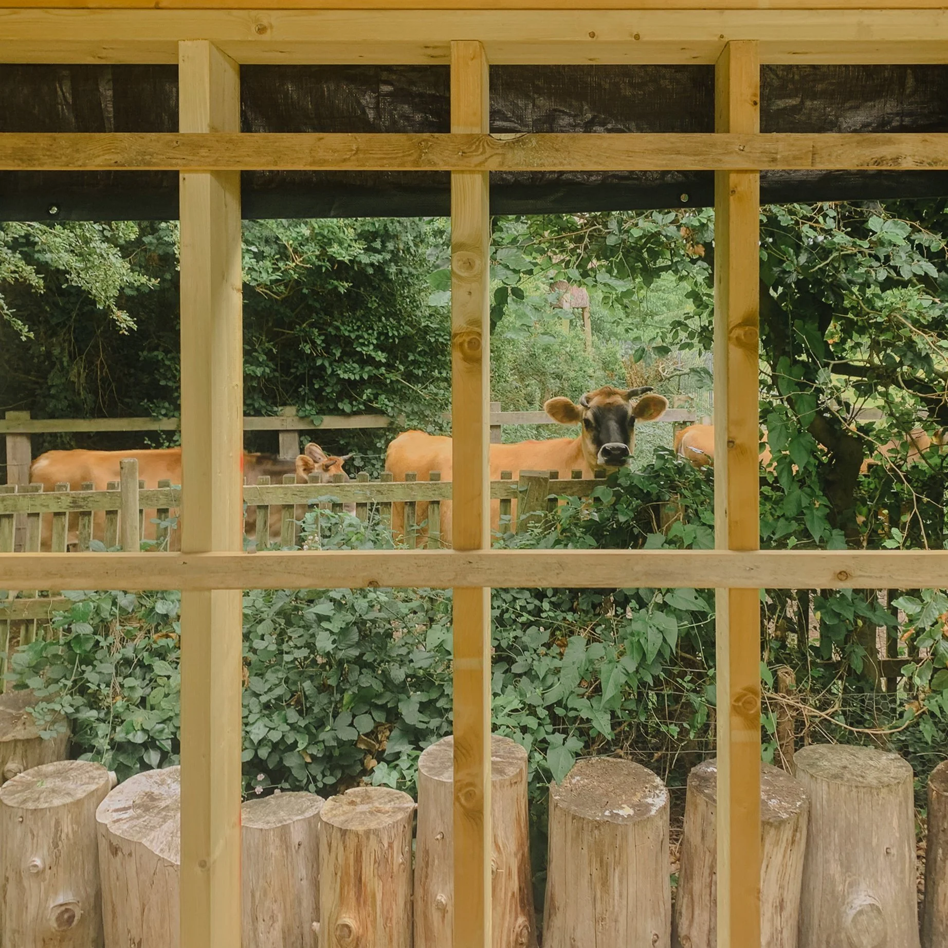 Hempstore at Waltham Place