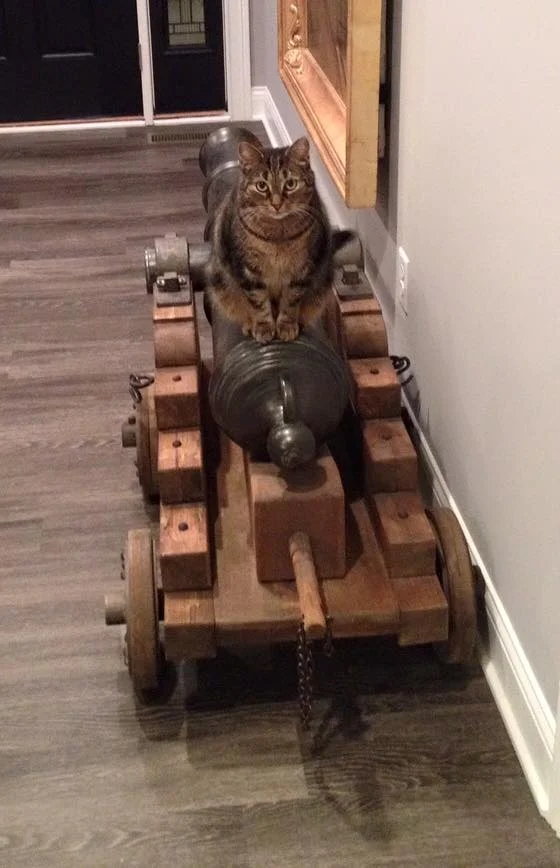 Master Gunner