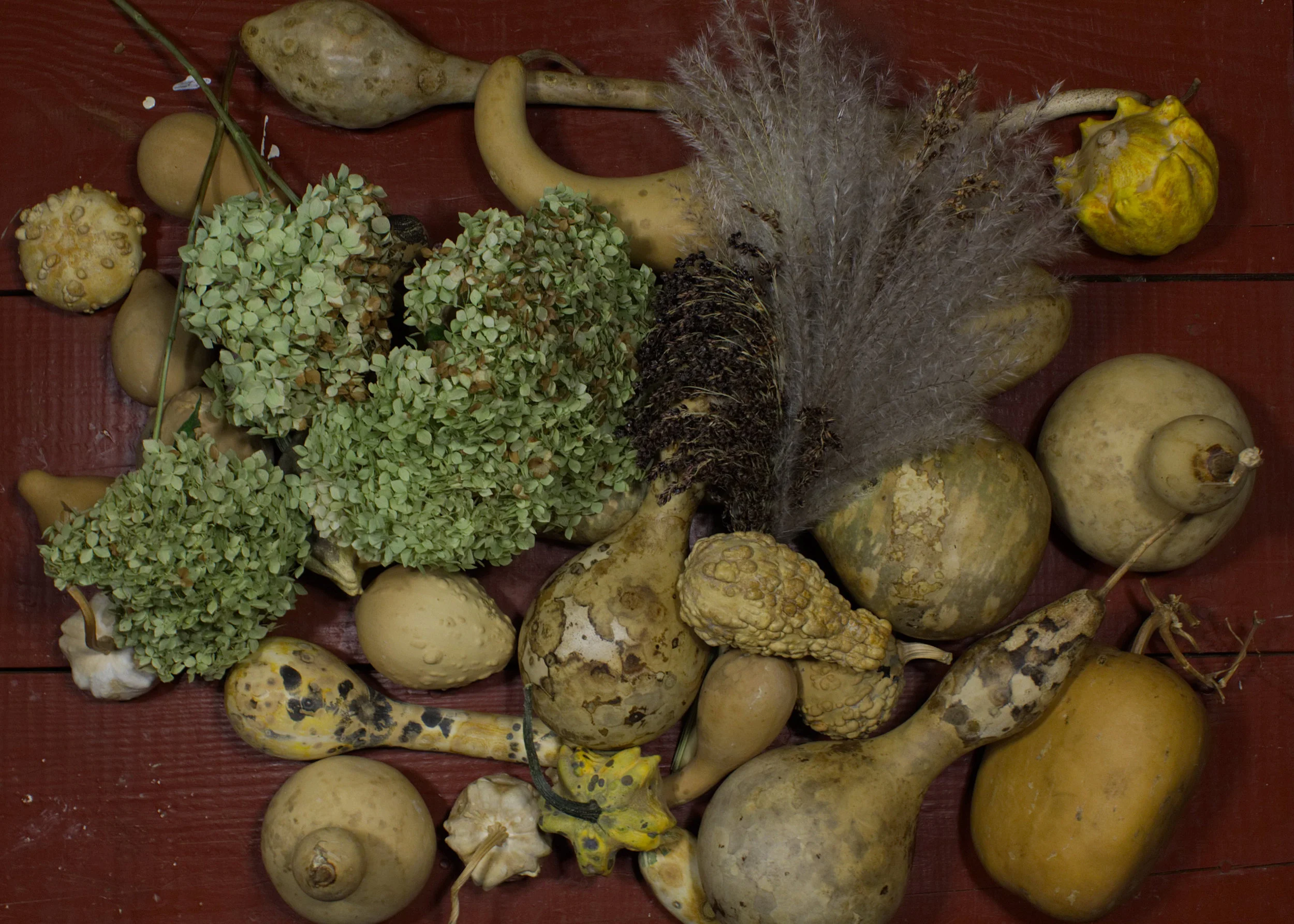 Autumn Harvest is Here We still have fresh cut flowers, zinnia, gladiolus, asters and sunflowers. As the season changes we will offer an Autumn Bouquet from The Little Garden That Could. We offer dried bouquets. Something fun and full off everything that says Autumn. Stop by and visit The Little Garden That Could at the 40th Annual Cameron Street Sale, September 23, 9am to 3pm. Corn, Broom Corn, Gourds and Autumn Bouquets will be available.