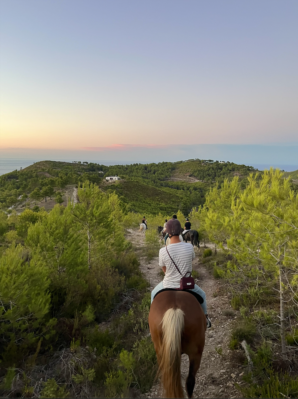 Horseriding in nature at Ibiza Horse Valley Sanctuary