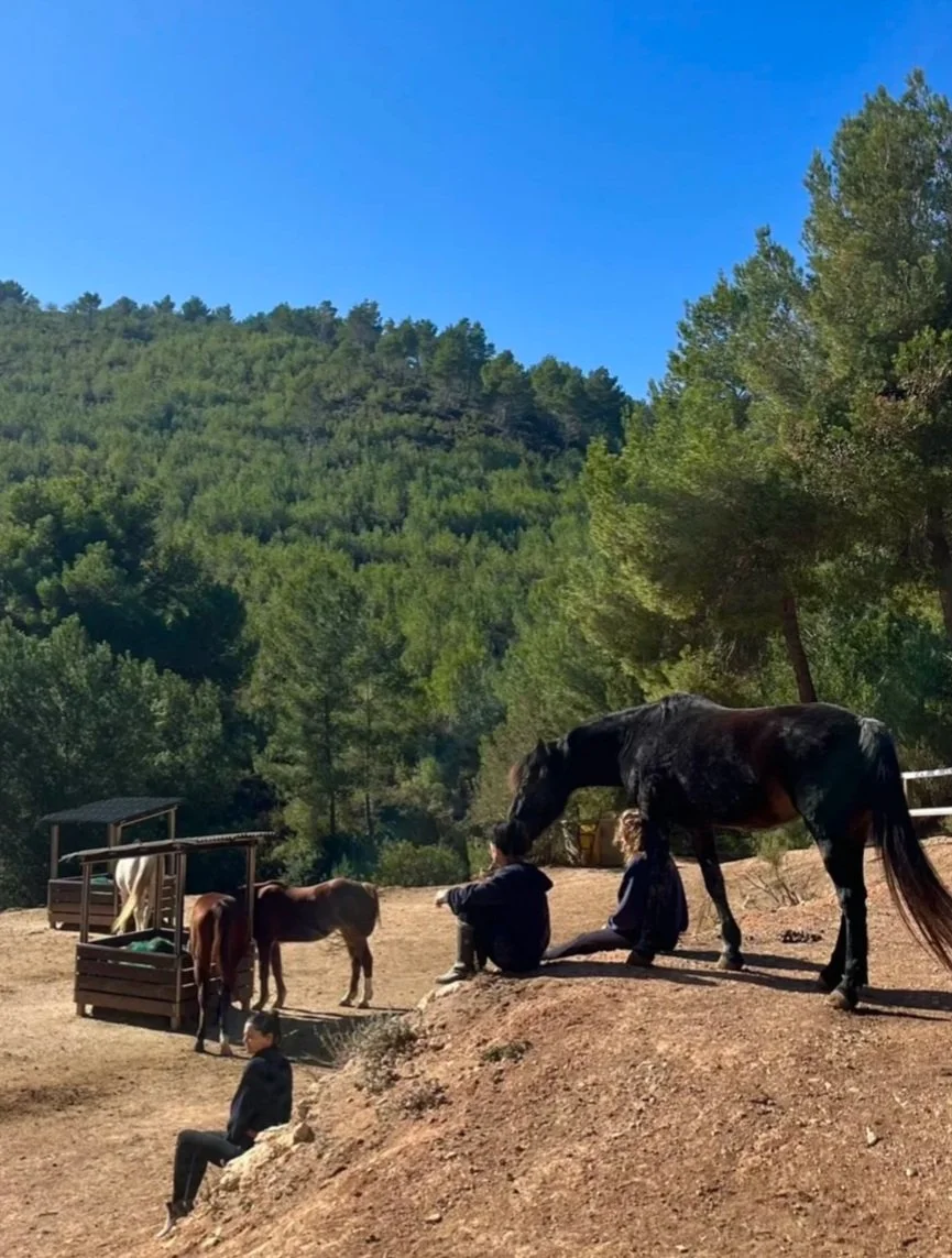 Humans connecting with horses at Ibiza Horse Valley Sanctuary