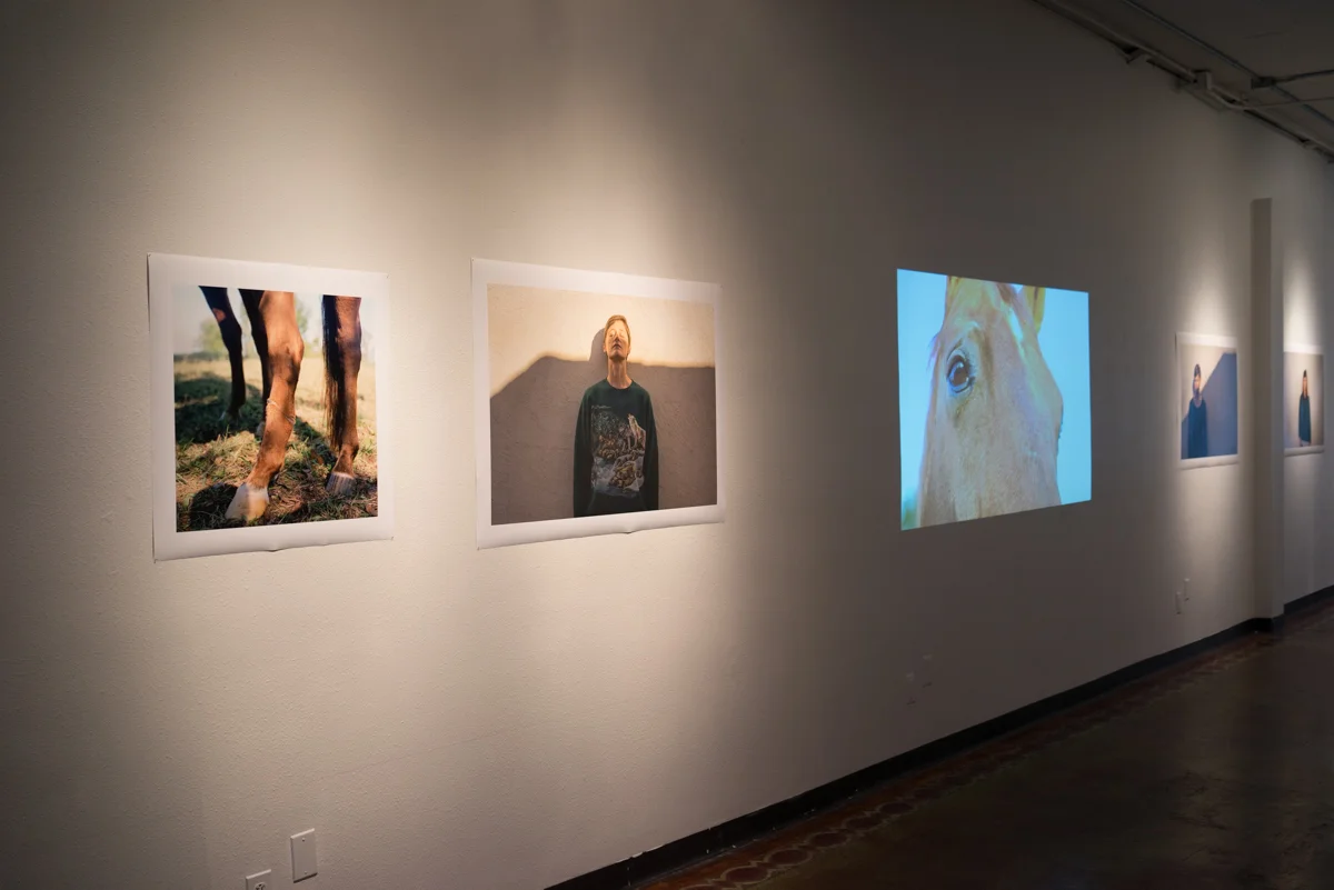 Installation view of long wall in main gallery, looking back towards entrance