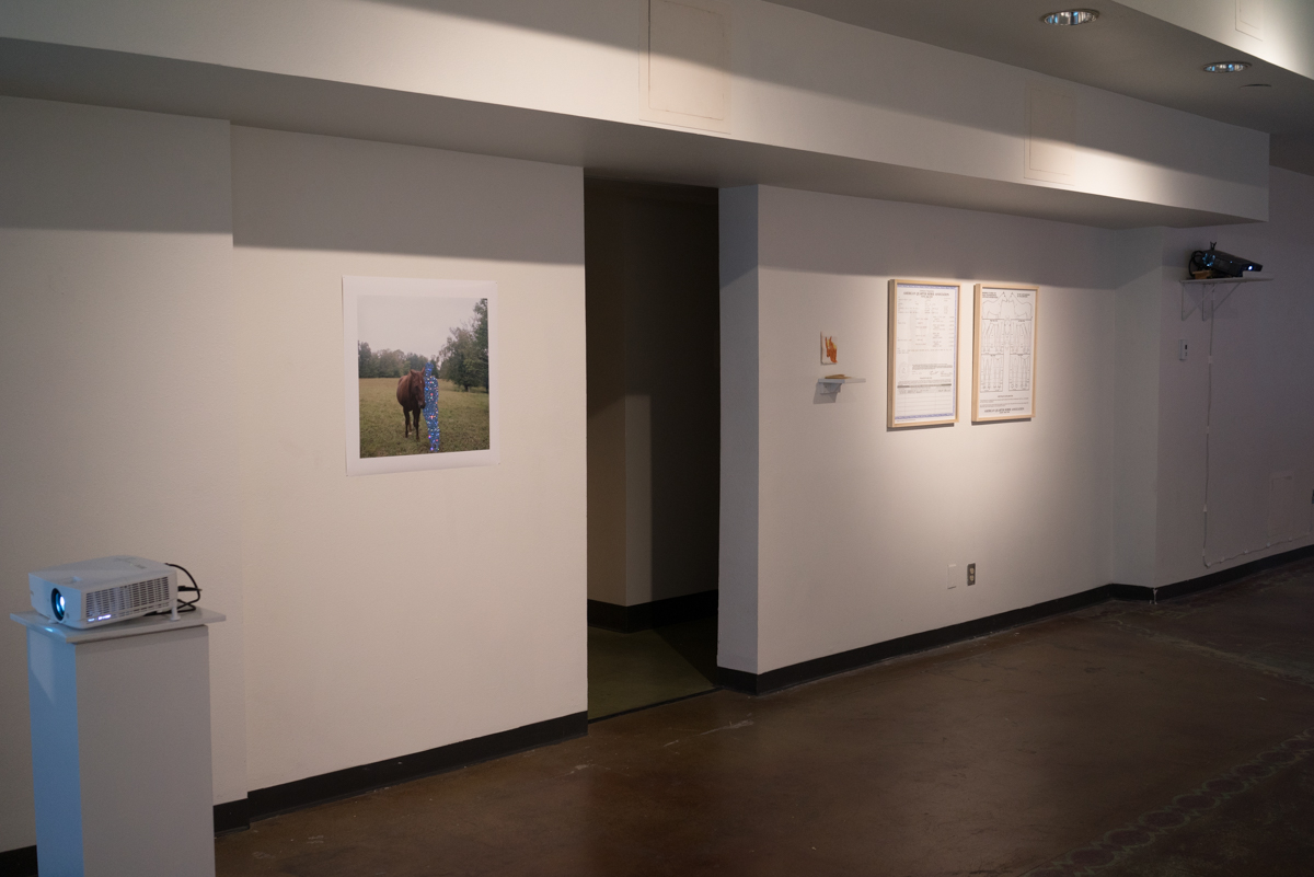  Installation view of short wall in main gallery 