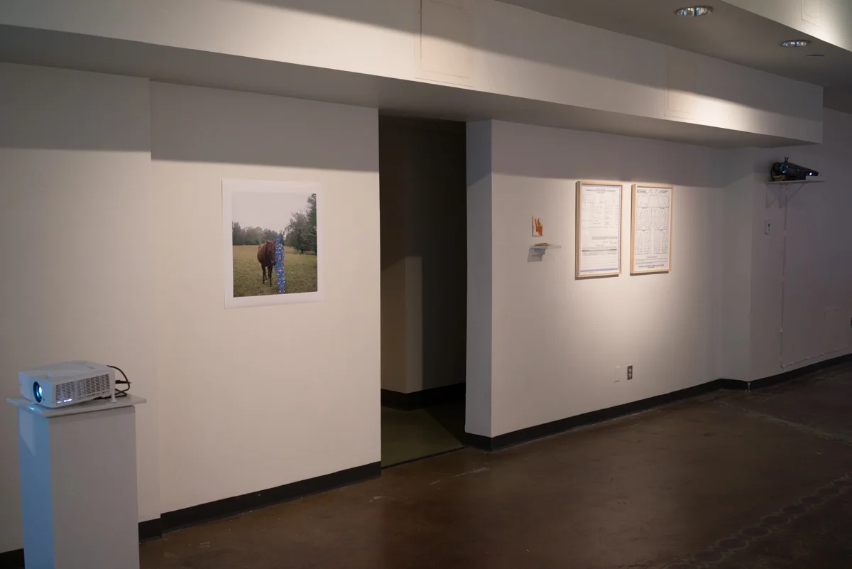 Installation view of short wall in main gallery