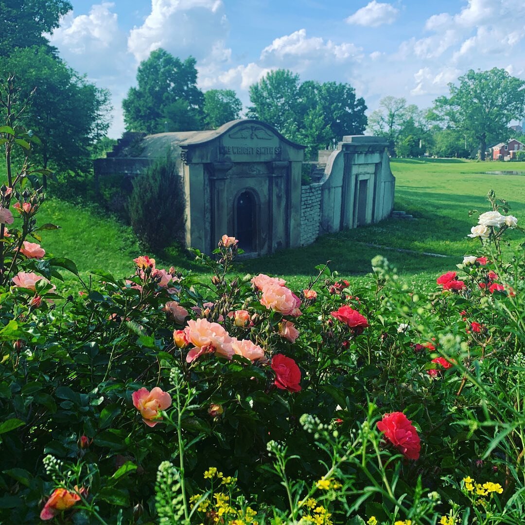 Happy Valentine&rsquo;s Day! 💚
.
.
.
#valentines #valentinesday #flowers #nature #cemetery #arboretum #roses #latergram #love #lovethecov