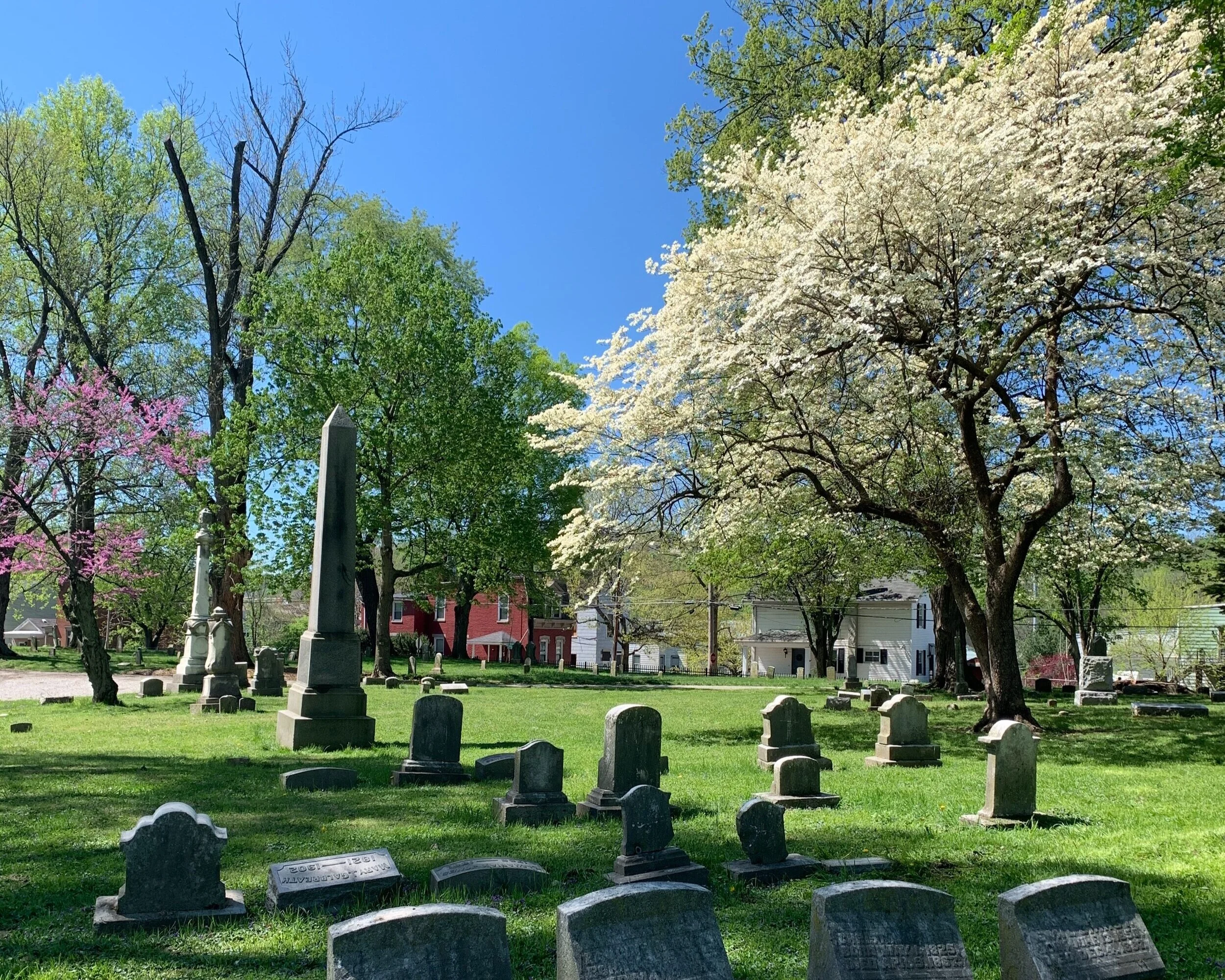 The Impact of Adopting a Plot at Linden Grove