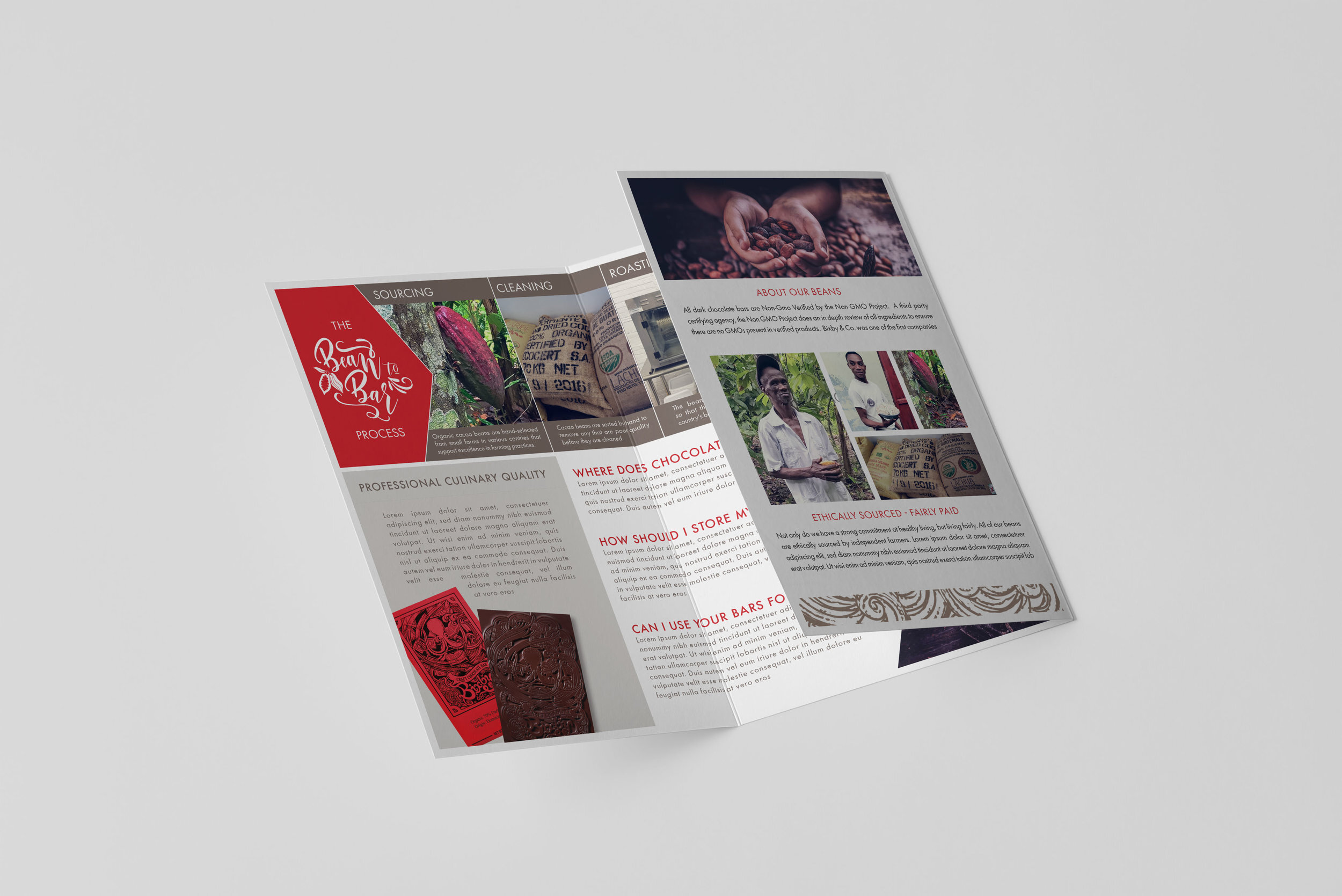 02_Tri-Fold+Half+Letter+Brochure+Mock-up.jpeg