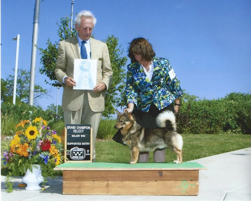 Bert GCH Select Wisconsin.jpg