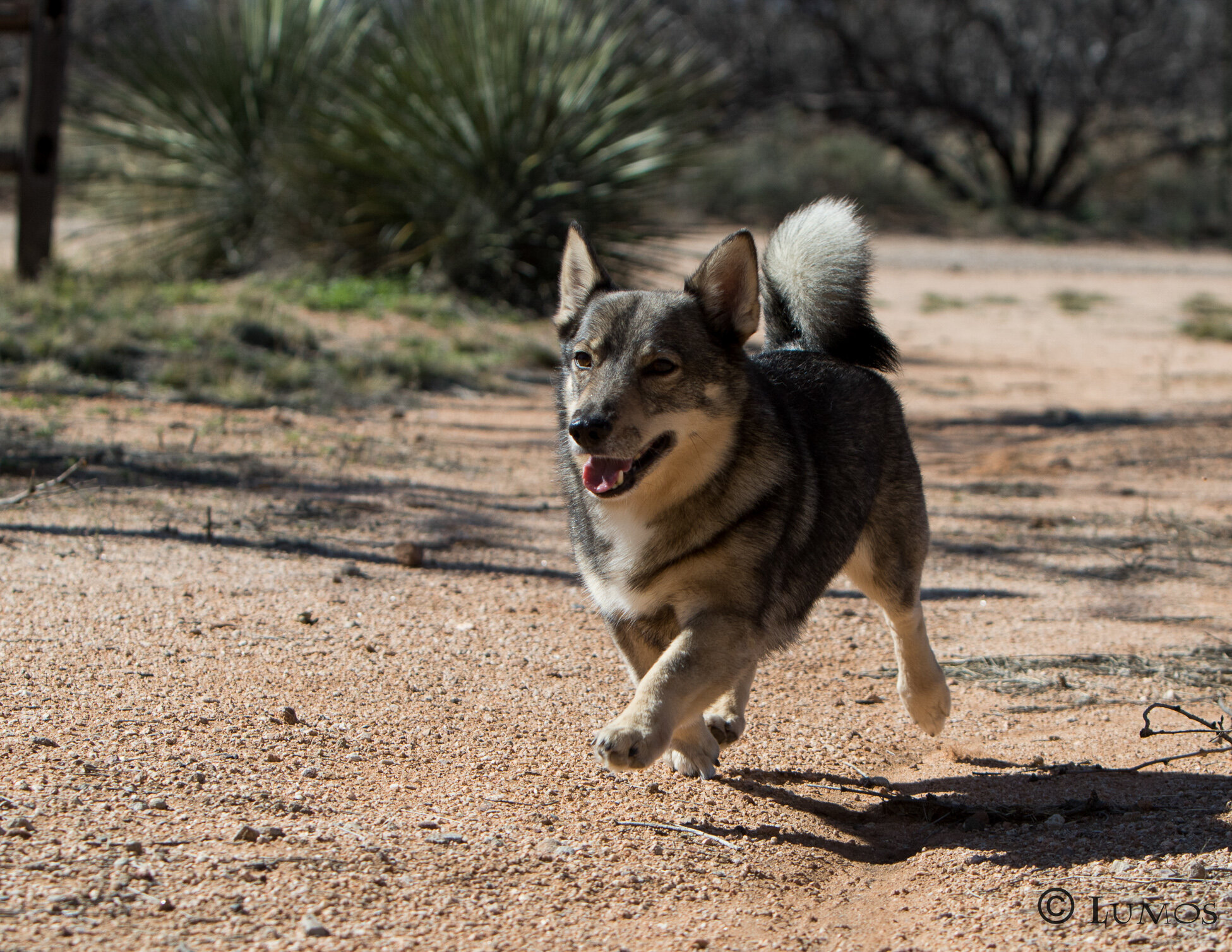 fromm 180 web sized-79.JPG